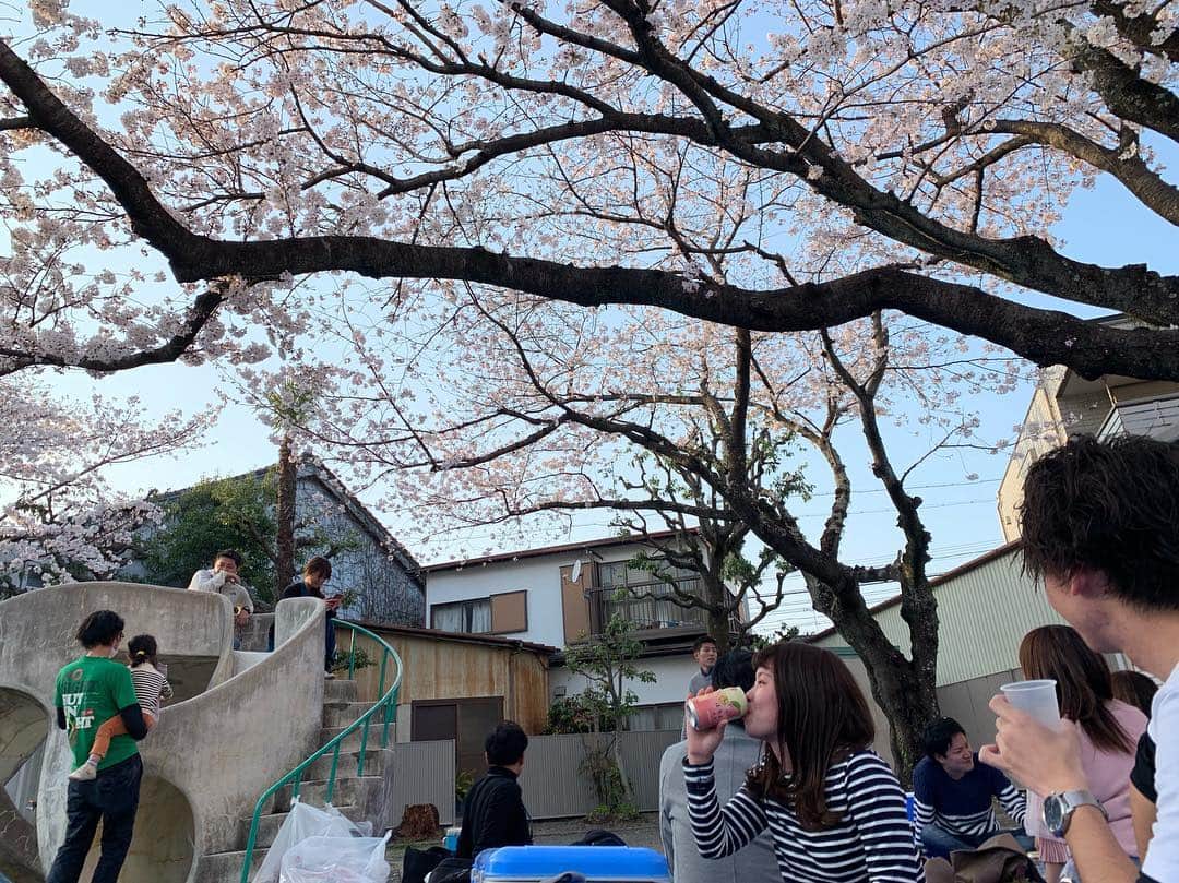 片山真人のインスタグラム：「#花見 #桜 #静岡市」