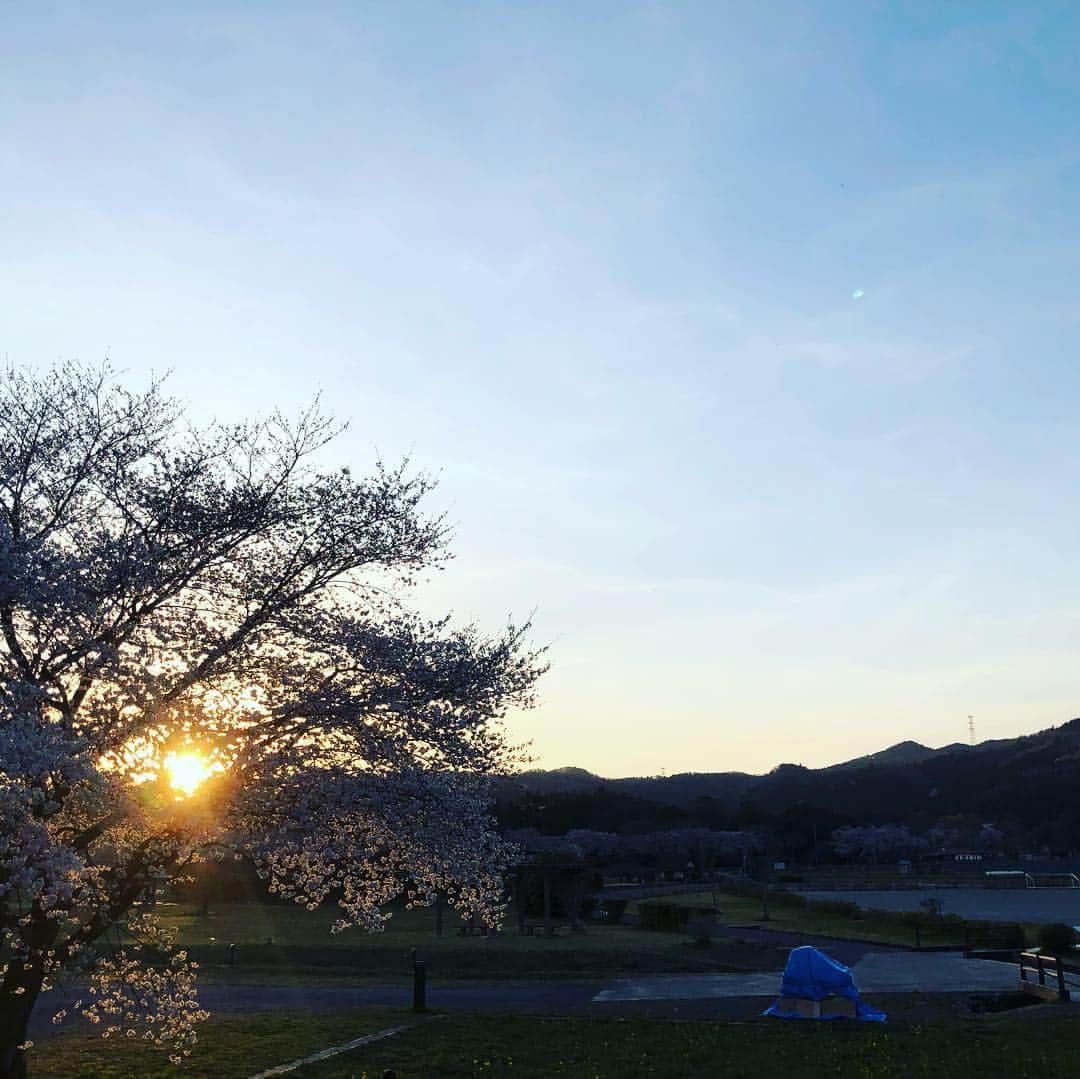 平山ユージさんのインスタグラム写真 - (平山ユージInstagram)「Cherry blossom blooming near my home 🏡 It was a luxury time to walk around Friday evening with special guest🧗‍♂️@chris_sharma 家の近くで桜が満開です🌸スペシャルなゲストと金曜の夕べを歩く贅沢な時間でした。」4月6日 22時54分 - yuji_hirayama_stonerider
