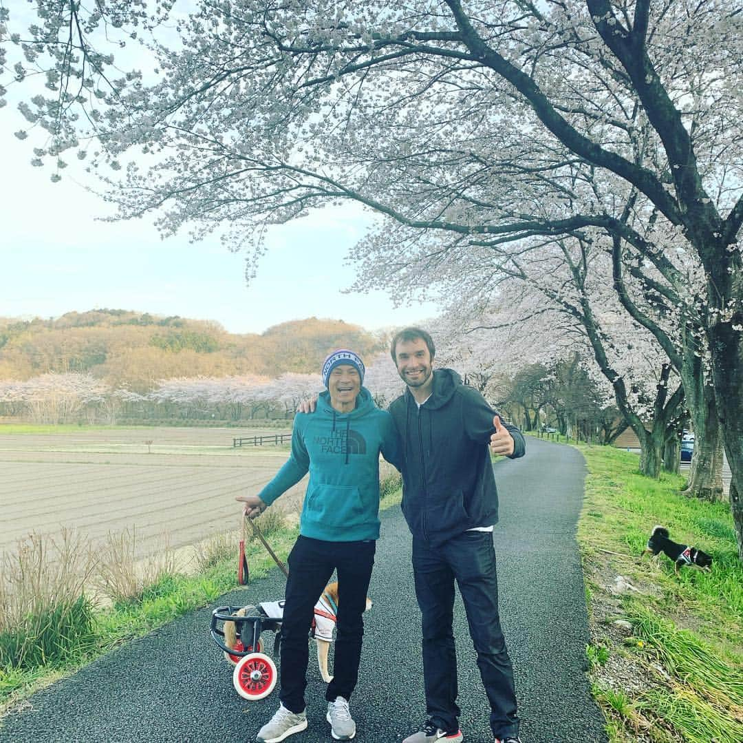 平山ユージさんのインスタグラム写真 - (平山ユージInstagram)「Cherry blossom blooming near my home 🏡 It was a luxury time to walk around Friday evening with special guest🧗‍♂️@chris_sharma 家の近くで桜が満開です🌸スペシャルなゲストと金曜の夕べを歩く贅沢な時間でした。」4月6日 22時54分 - yuji_hirayama_stonerider