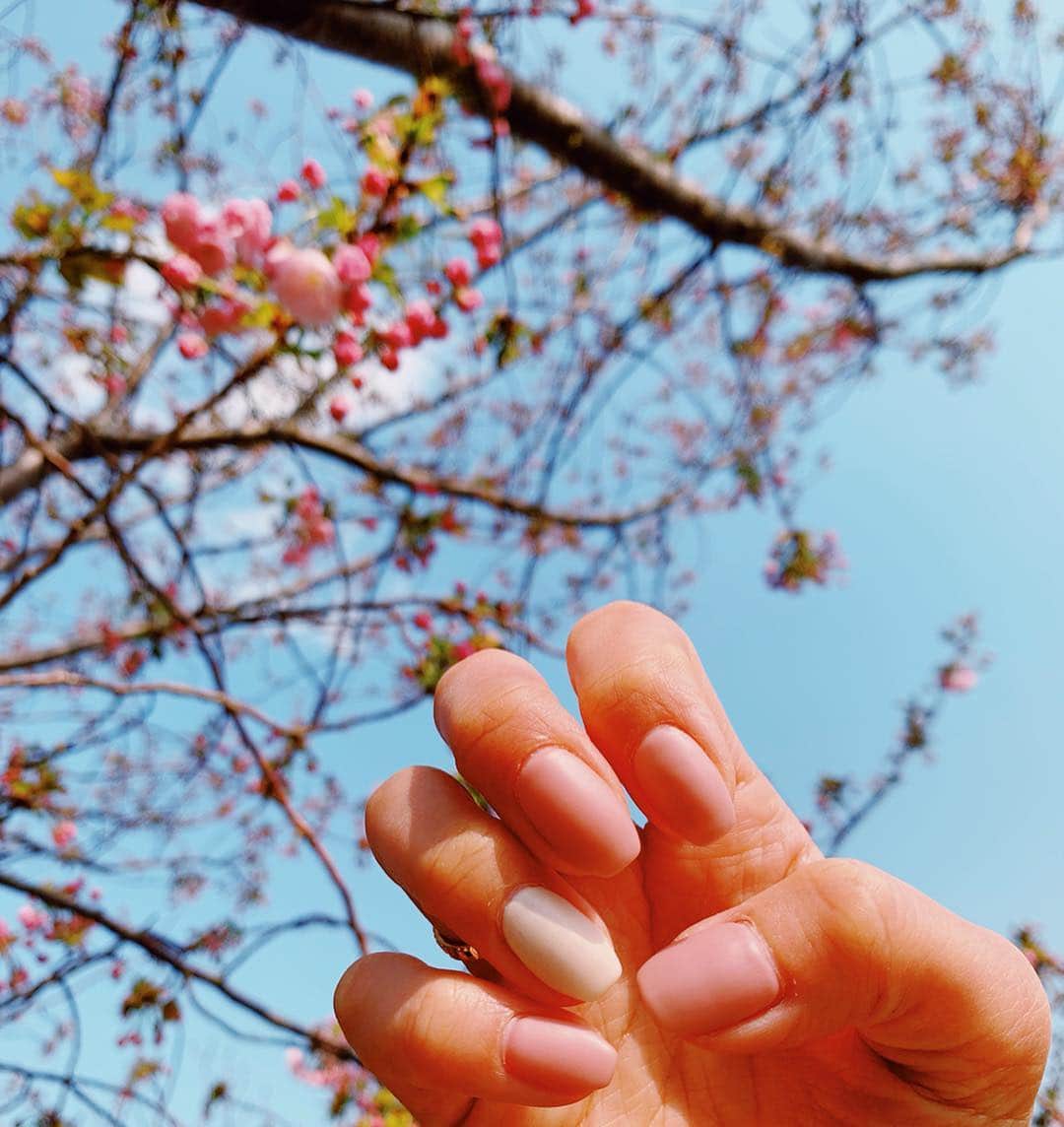 来夏さんのインスタグラム写真 - (来夏Instagram)「#🌸 お花見日和🍡🍱 ぽかぽかな春を味わえた☺️ ・ 桜とぴったりの春感ネイル🌸 @nailiejp で見つけた #マットネイル #春ネイル  #アシンメトリーネイル 💅」4月6日 22時57分 - rairairaika