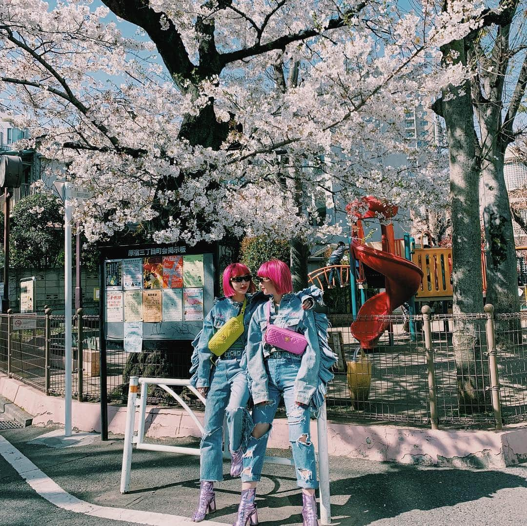 AYAさんのインスタグラム写真 - (AYAInstagram)「🌸🌸🌸🌸spring Ⓜ️ood🌸🌸🌸🌸 ずっとずっと1番好きな季節 今でも年中さんの時に大好きなおばあちゃんと母と最後に見た浜松城公園の桜、6年間通った小学校の桜坂が私の大切な大切な春の思い出、何年経っても上書きされないな💐 みんなはどんな春過ごしてますか。 やっと春らしくなってきて嬉しいね。 今年はどんな春になるかな🍀  bag&sunglasses @versace ❤️ #spring」4月6日 23時07分 - ayaxxamiaya