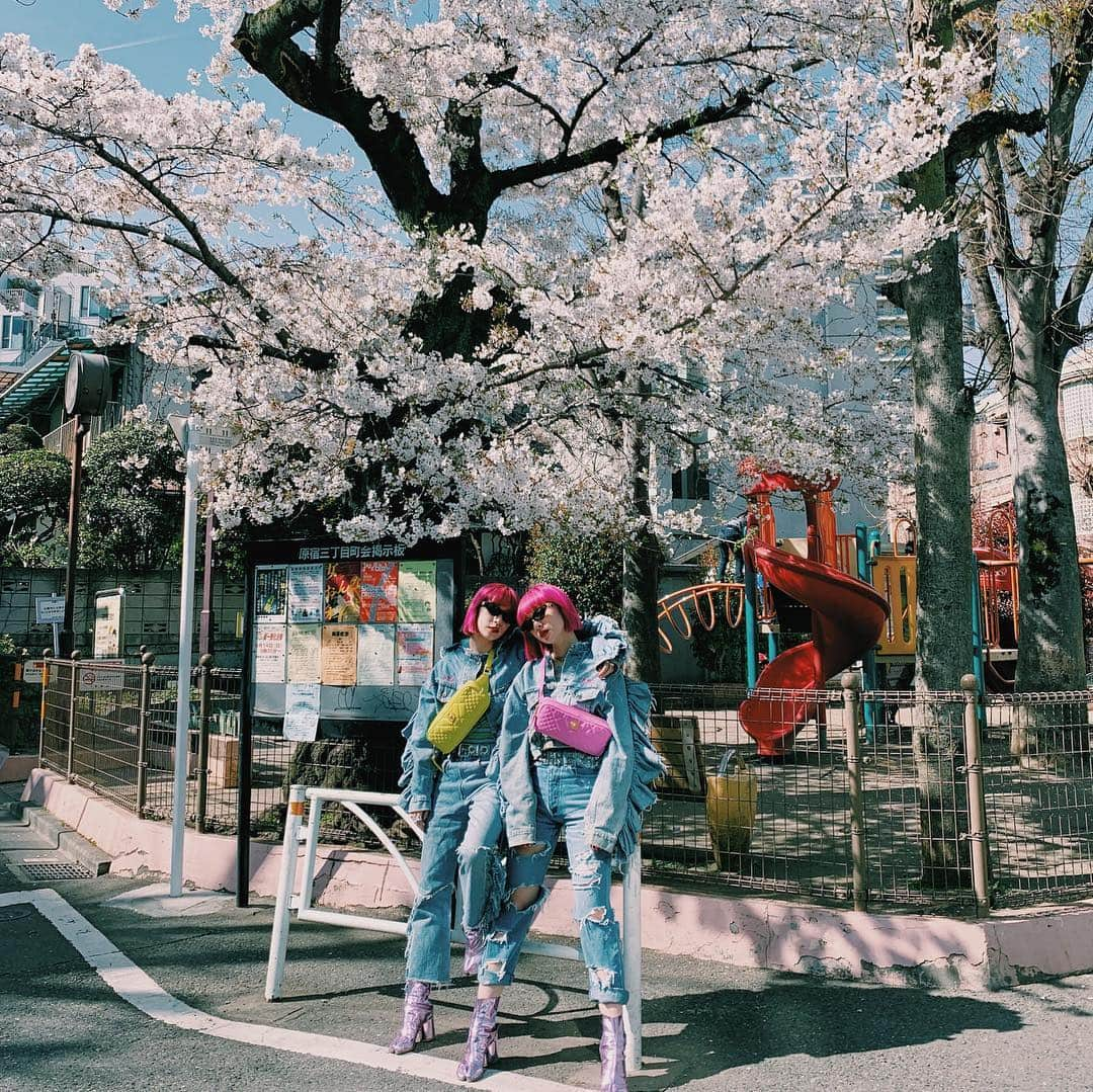 AYAさんのインスタグラム写真 - (AYAInstagram)「🌸🌸🌸🌸spring Ⓜ️ood🌸🌸🌸🌸 ずっとずっと1番好きな季節 今でも年中さんの時に大好きなおばあちゃんと母と最後に見た浜松城公園の桜、6年間通った小学校の桜坂が私の大切な大切な春の思い出、何年経っても上書きされないな💐 みんなはどんな春過ごしてますか。 やっと春らしくなってきて嬉しいね。 今年はどんな春になるかな🍀  bag&sunglasses @versace ❤️ #spring」4月6日 23時07分 - ayaxxamiaya