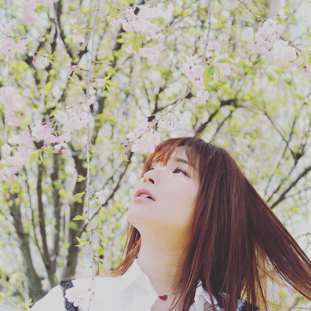 有馬綾香のインスタグラム：「今日も桜と撮影できました。 桜と緑が好きです！ #桜 #緑 #桜満開 #写真 #撮影 #眠顔 #陽だまり #のんびり #眠い #春 #寝る #おやすみ #ぐっすり #スヤスヤ」