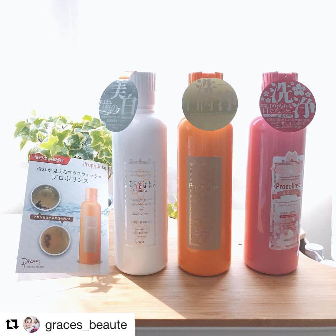 のインスタグラム：「#Repost @graces_beaute with @get_repost ・・・ 私のお気に入りのオーラルケア✨ 汚れが見えるマウスウォッシュ『プロポリンス』 ✴︎ チャ葉エキスに含まれるカテキンがタンパク質と結合して口腔内の汚れや磨き残し歯垢などを茶褐色に固めて出してくれるんです❣️ その見え方が凄いのなんのって💦 人には絶対見せられないですがw プロポリスの抗菌効果でお口スッキリ爽やか〜✨ ✴︎ その後は写真左ホワイトニングでお口クチュクチュ歯ブラシでお水と共にブラッシングすれば更にスッキリピカピカに✨ セット使いがオススメです😊 ✴︎ #プロポリンス  #プロポリンスサクラ #デンタルホワイトニング #サロン発売開始しました #オーラルケア は大切 #歯は命  #美歯  #gracesbeaute  #therapist  #model  #芦田桂子」