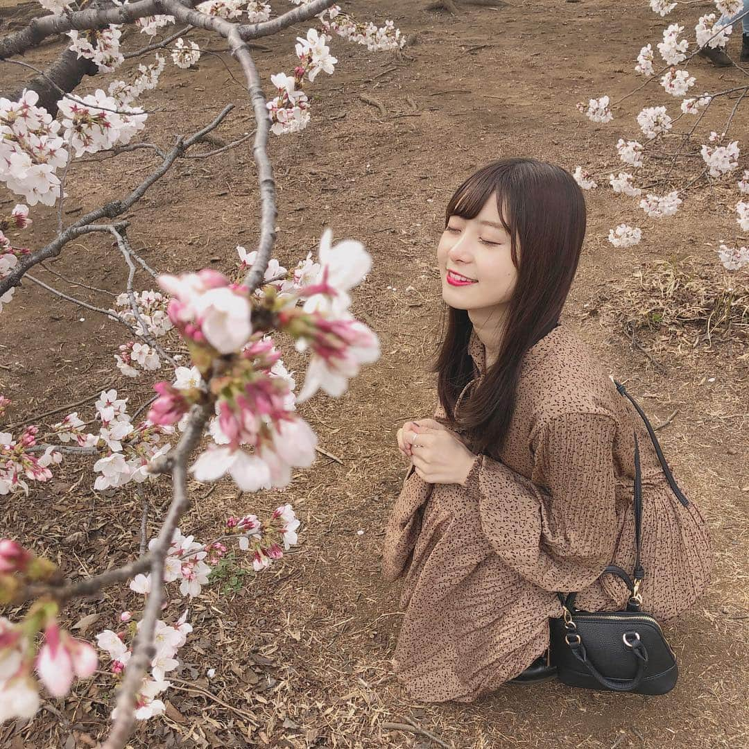 松川星さんのインスタグラム写真 - (松川星Instagram)「🌸」4月6日 23時46分 - akarin__rin