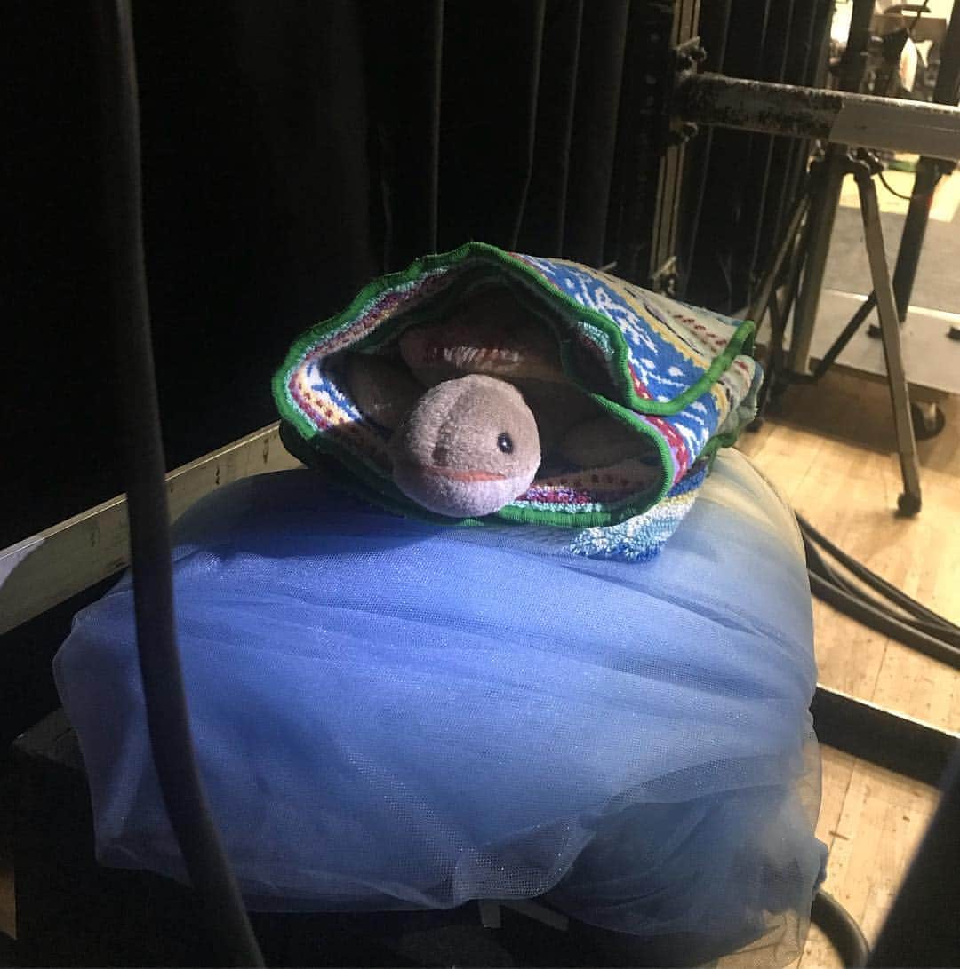 上野水香さんのインスタグラム写真 - (上野水香Instagram)「#nhkバレエの饗宴 無事終演しました。東京バレエ団は#セレナーデ を踊りました。 日本の中でのいろいろなバレエ団や普段顔を合わせることのないダンサーたちとの共演は、とても刺激的で楽しいです。写真を撮るチャンスを逸したのが残念でしたが、5月19日、#nhk #Eテレ にて、公演の様子を放映しますので良かったらご覧くださいませ📺💕」4月6日 23時51分 - mizukaueno