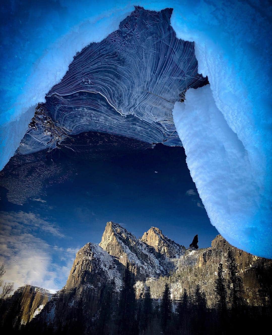 appleさんのインスタグラム写真 - (appleInstagram)「“Most people avoid Yosemite after a winter storm, but that’s exactly when I want to be there. Once you learn to appreciate how it can completely transform a landscape, it’s addictive.” #yosemite #ShotoniPhone by Sapna R. @sapnareddy」4月7日 0時03分 - apple