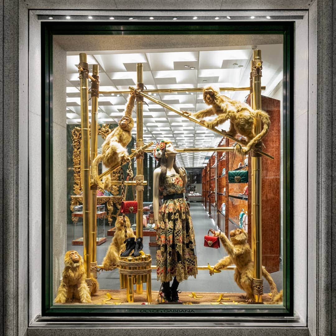 のインスタグラム：「Friendly macaque monkeys climb into Milan's via Montenapoleone boutique, bringing with them a #DGDevotionBag.  #DGFattoAMano」