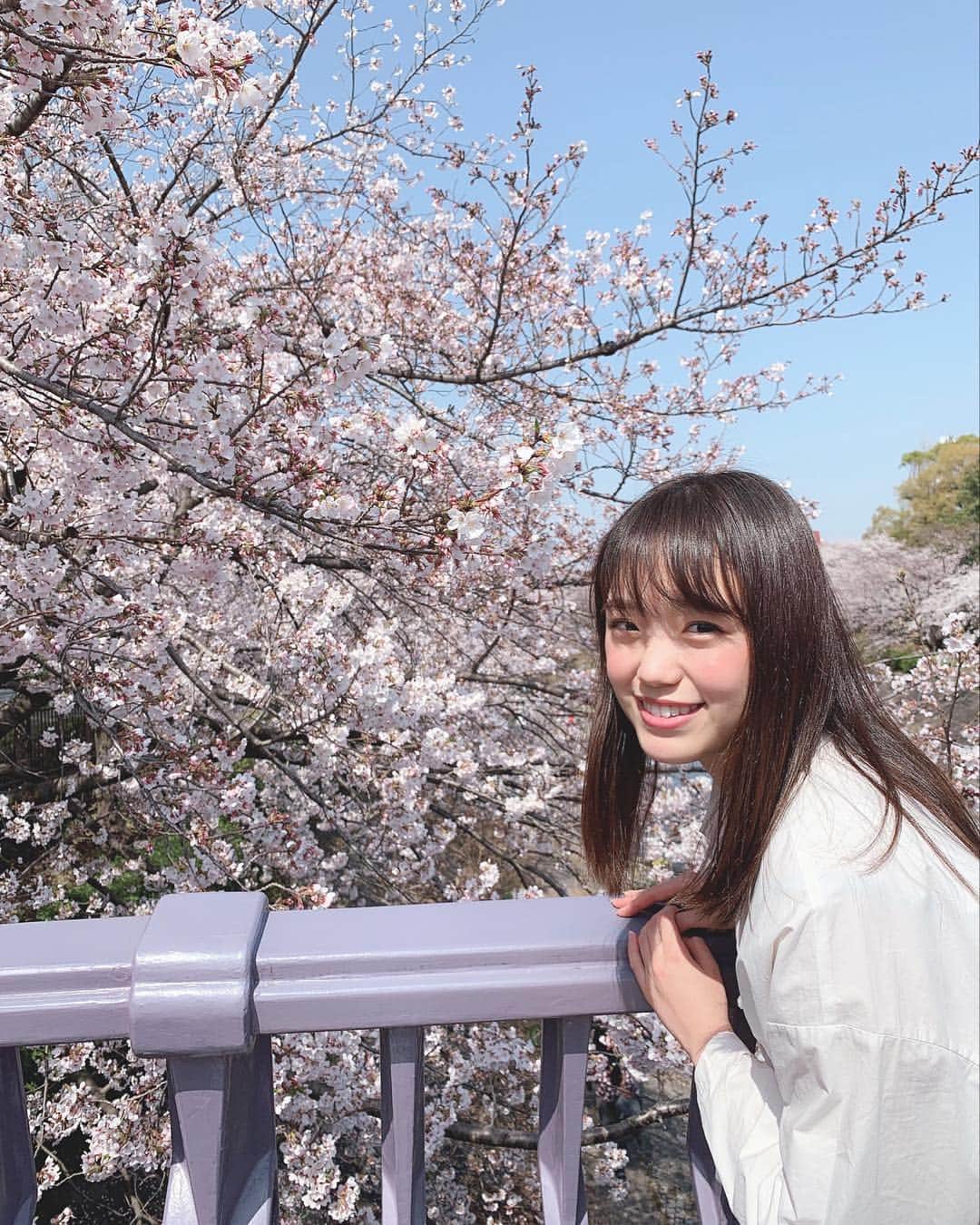 伊藤千由李さんのインスタグラム写真 - (伊藤千由李Instagram)「今日はぽかぽかで暖かかったねぇ〜☺️ 桜も満開でした🌸🌸🌸 桜見ながらのお昼ご飯は最高に美味しかったよ😋  #桜#お花見  よし！さっき買ってきた 情報だけ武器にしろ。っていう本を もうちょっと読んで寝よう💤  情報があるおかげで行動に移せるわけだから、 いろんなことを知ることって大事だね！  今思うと、ちゆは色々な情報を知りたいと思うようになって、 人と話すことがすごく楽しくなった気がするよ！  あと、自分が興味あることを相手に聞いたりして話してくれると本当に楽しいなぁと思う！  でも、きっと知らないことを知ることで、 辛かったりとかすることもあるかもしれないけど、 でもそれで行動に移せたり自分が変われるチャンスでもあるわけだから、きっとプラスになる！！！⭐︎」4月7日 0時13分 - chiyuri_ito_official