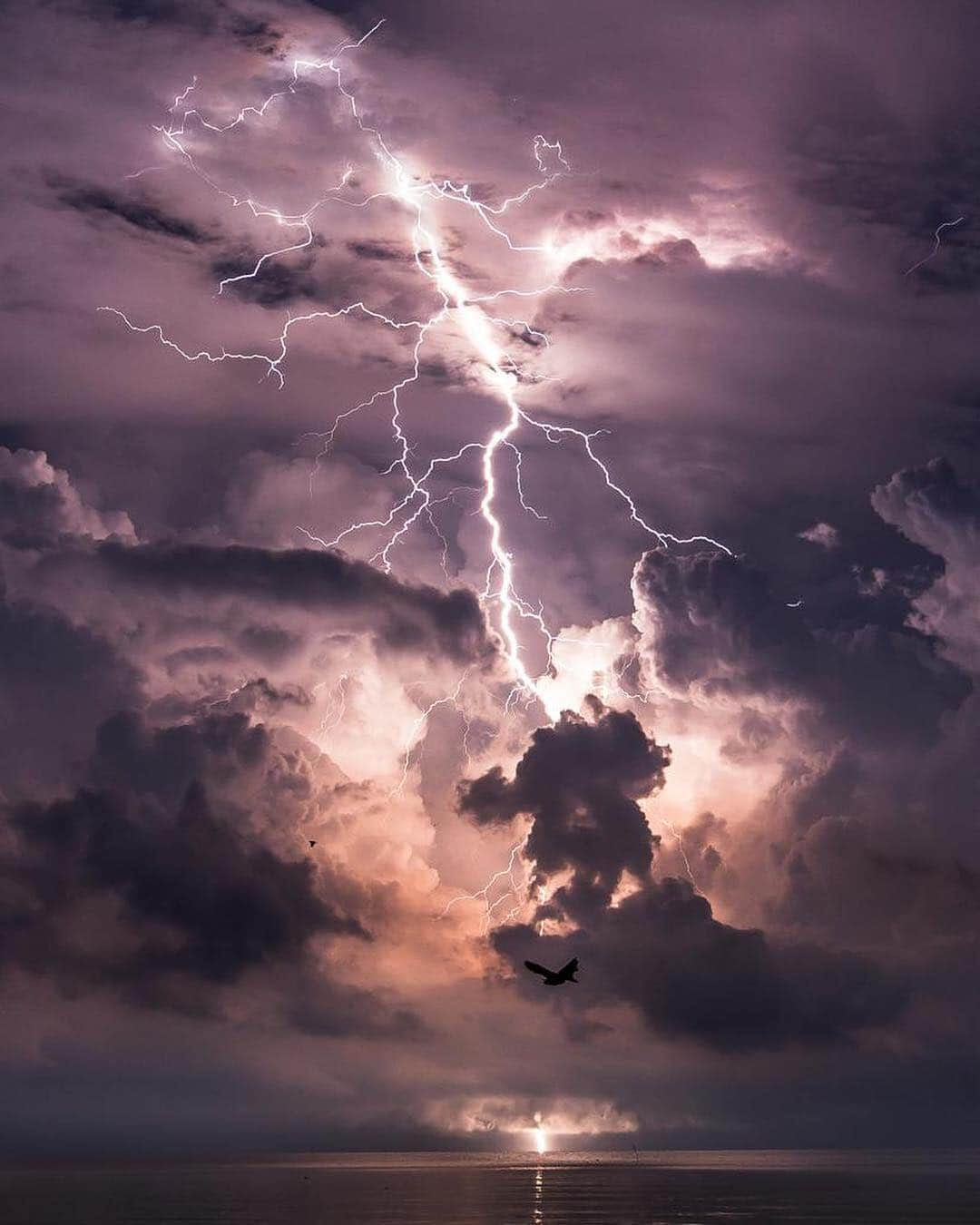 Canon Photographyさんのインスタグラム写真 - (Canon PhotographyInstagram)「The never ending storm of Catatumbo, Venezula!  @jonaspiontek has created a fantastic short film, which we already had the pleasure of watching. It’s absolutely amazing and will premiere at 8PM CET, tonight. Make sure to check the link in @jonaspiontek bio to set a reminder or to watch it, depending when you read this. It’s absolutely worth it!  #catatumbofilm #catatumbo #venezuela #lightning #storm #tornado #milkyway」4月7日 0時07分 - cpcollectives