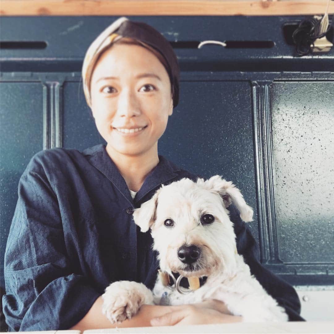 甲斐麻美さんのインスタグラム写真 - (甲斐麻美Instagram)「顔が浮腫みすぎて言われたとです。。。(そんな顔を晒す勇気w若干ボカしたけどw) そがん日もあるたい😜🙏 ペヤングとオドが可愛ければいいと。  #いぬとわたし #dogstagram #いぬ #元保護犬 #犬との暮らし」4月7日 9時54分 - kaico_asami