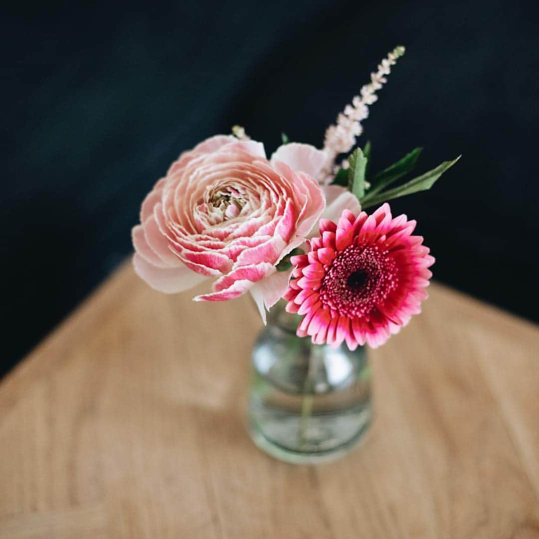 清水桜子さんのインスタグラム写真 - (清水桜子Instagram)「今週末は4回目のお花配送デー♪ 今回の内容は、ドラマチックなピンクが印象的なセット。 お花自体に存在感があるので、部屋の中央にどっしり置くのが似合うかな？ 目に飛び込んでくるピンクが気になるのんでありました。 ・ #本日のお花とうちの猫 ✿ガーベラ（レンブラント） ✿アステルベ ✿ラナンキュラス（ピンク） ・ お花の定期便 @bloomeelife さんとのコラボ企画 全6回のお花のレポートの4回目でした。 ・ ✿初回無料のクーポン、よければ使ってね✿ ————————————— クーポンコード：sakuracos ※有効期限：2019年6月30日 #bloomeelife @bloomeelife —————————————」4月7日 10時06分 - sakuracos