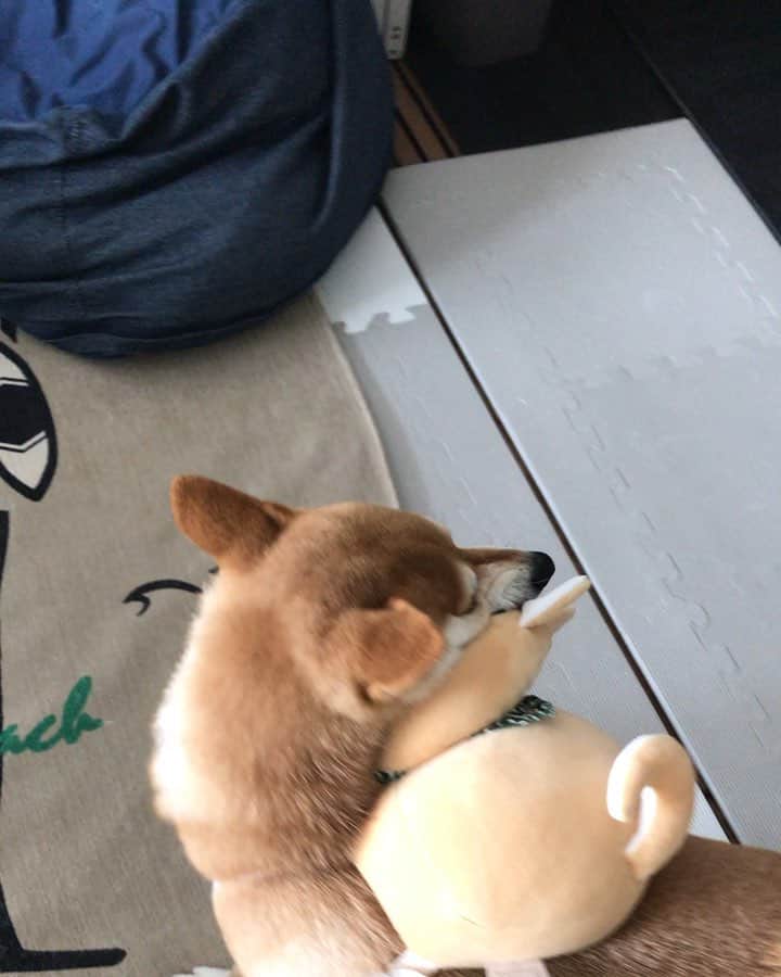 高橋みゆきのインスタグラム：「💓🐶💓」