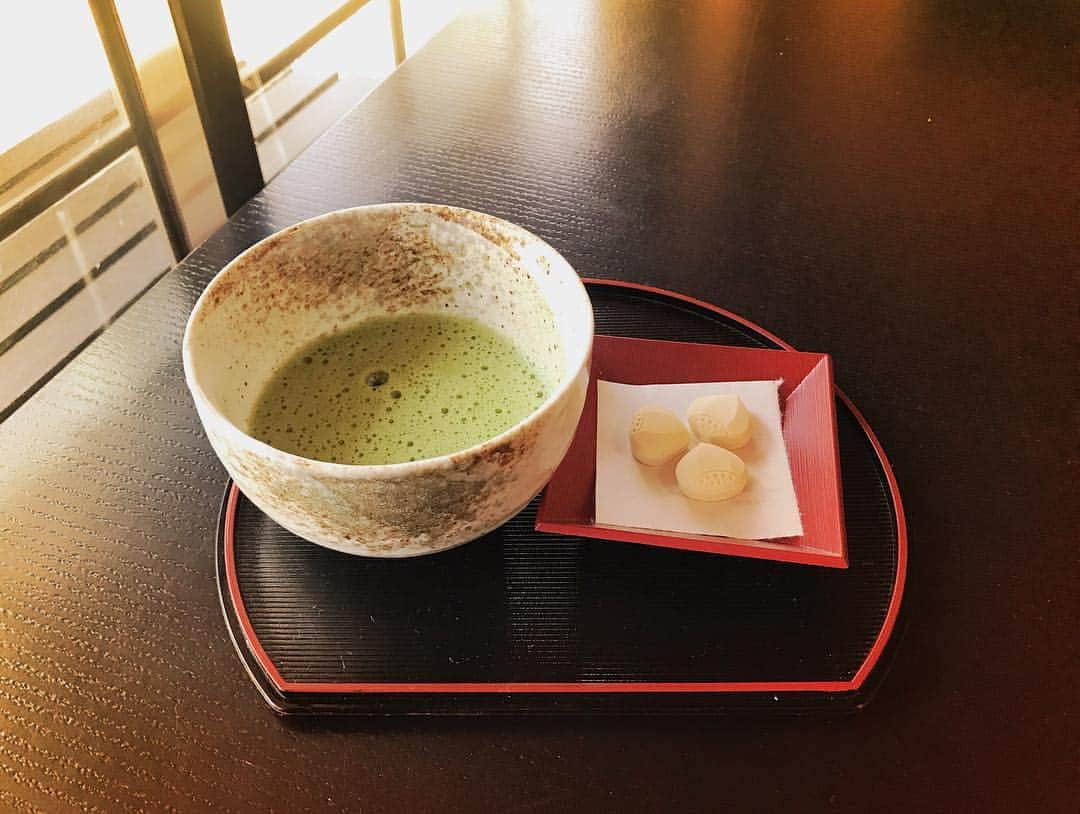 丸尾歩のインスタグラム：「抹茶🍵  苦めな味がたまらない❣️ ＊ ＊ ＊  #お抹茶 #抹茶#和カフェ#和スイーツ#桜 #樱花 #cafe #カフェ #珈琲 #咖啡 #星巴克 #starbucks #teatime #喝茶 #下午茶 #aftarnoontea #drink #美味しい #好喝 #好吃 #japan #tokyo #china #beijing #日本 #東京 #中国 #北京#まったり」