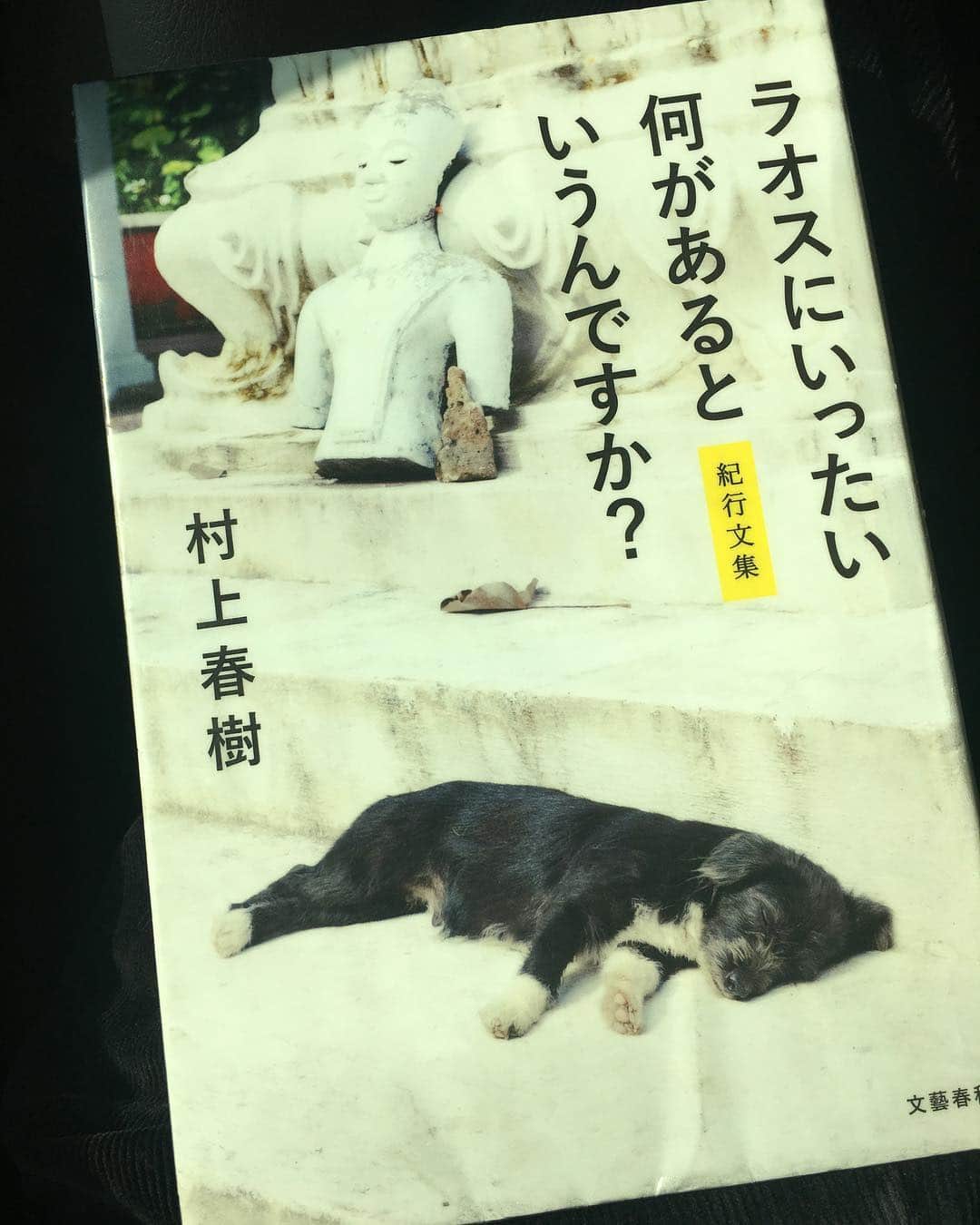 のインスタグラム：「天気もよよよい良いことありそな日曜日。 岡山へ 今日はbbbbで津山のHANAFESへ 三宅さんとのセッションも楽しみ楽しみ♬ #旅のお供本m  ４月７日（日）『HANAFES2019 in 岡山』 ●おかやまファーマーズマーケットノースヴィレッジ（岡山県勝田郡勝央町岡1100番地） ●開場 10:00 開演11:00 ●チケット 前売り一日券　一般 5,000円　高・大学・シニア 3,500円 ※当日1,000円アップ 前売り二日券　一般 9,000円　高・大学・シニア 6,000円 eplus ●お問い合わせ おかやまファーマーズ・マーケット ノースヴィレッジ インフォメーション窓口 0868-38-1234」