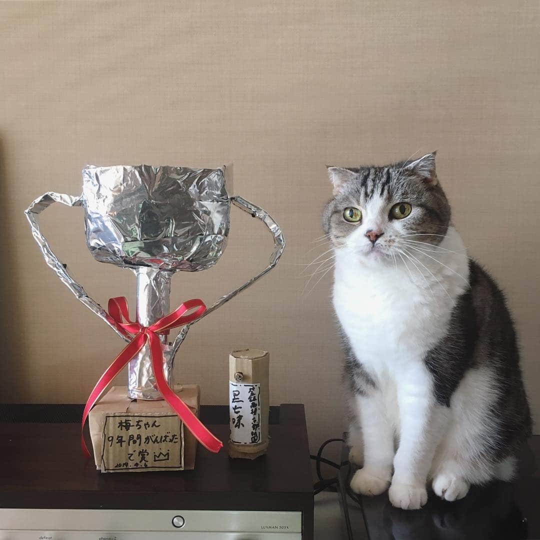 ミツバ&フックのグルメインスタ