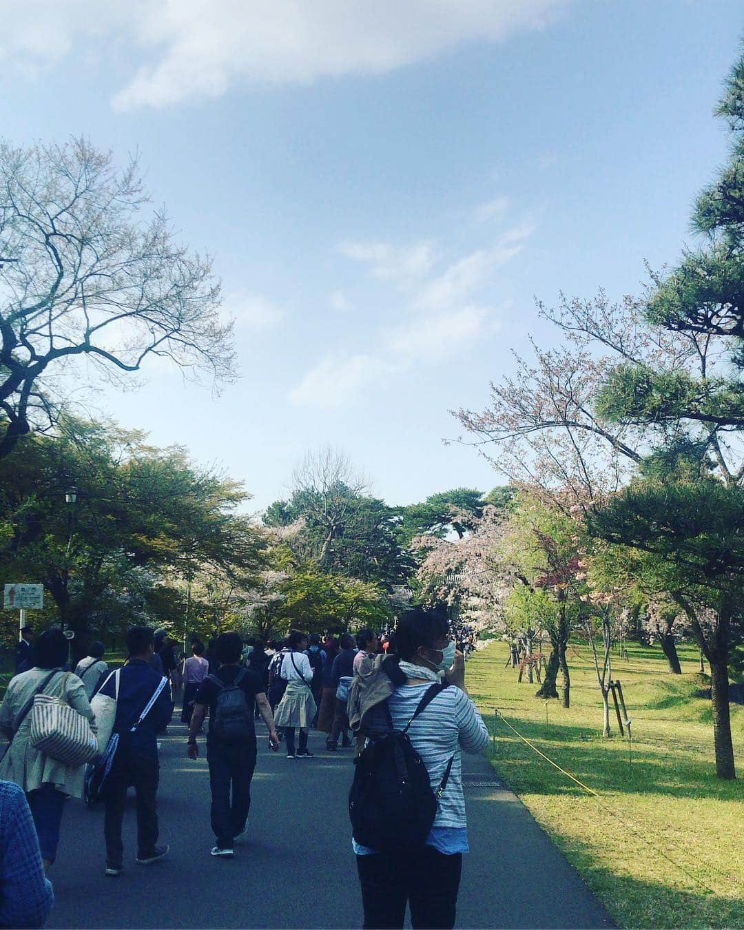 日下裕江さんのインスタグラム写真 - (日下裕江Instagram)「皇居の桜🌸  いつも天皇陛下がこの庭を歩いて散歩されてるのかと思うと、心が和みました💖  不思議とね、 乾通りの桜を見終わった後、 最近まで悪かった体調が 急に良くなったの✨ 凄くない⁈ 天皇陛下のパワーを貰えたのかな？ 有り難い🤲✨ 皇居お花見一般公開見に行って良かった💕  #皇居 #皇居一般公開 #乾通り一般公開 #乾通り一般公開2019春 #乾通りお花見 #皇居お花見 #天皇陛下のパワー」4月7日 10時55分 - hiroe___h