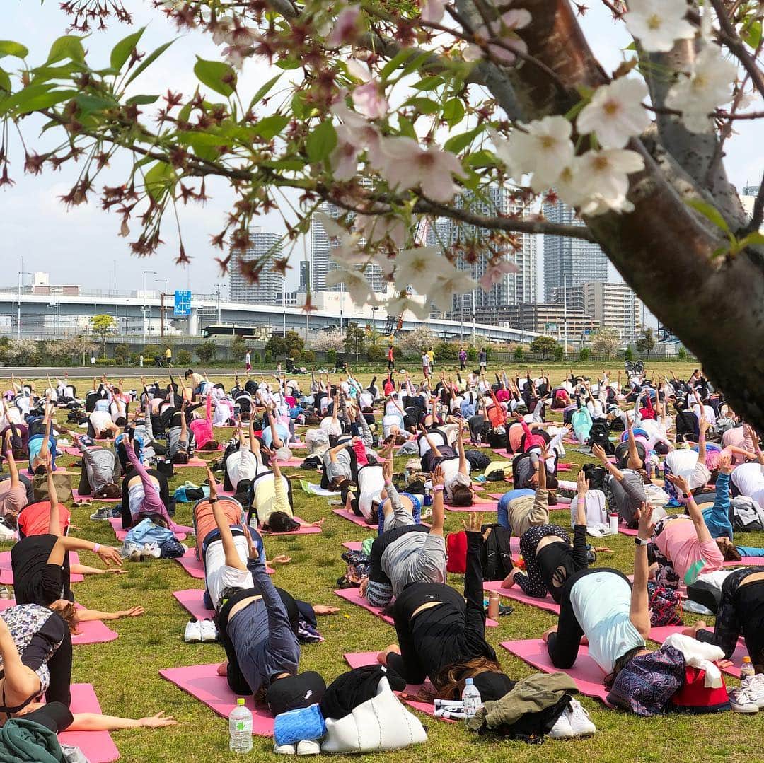 田中律子のグルメインスタ