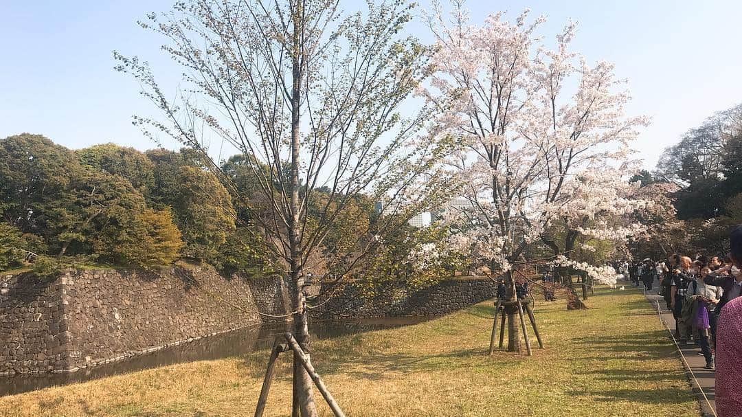 日下裕江さんのインスタグラム写真 - (日下裕江Instagram)「局門-つぼねもん-  大奥達が住まわれていた場所カナ⁈  この時代に生きていなくて良かった^^; 女同士の戦い程怖いものはないですから…´д` ;  #局門 #大奥 #皇居 #江戸 #平成最後の乾通り一般公開 #乾通り #乾通り一般公開 #乾通り一般公開2019春」4月7日 11時02分 - hiroe___h