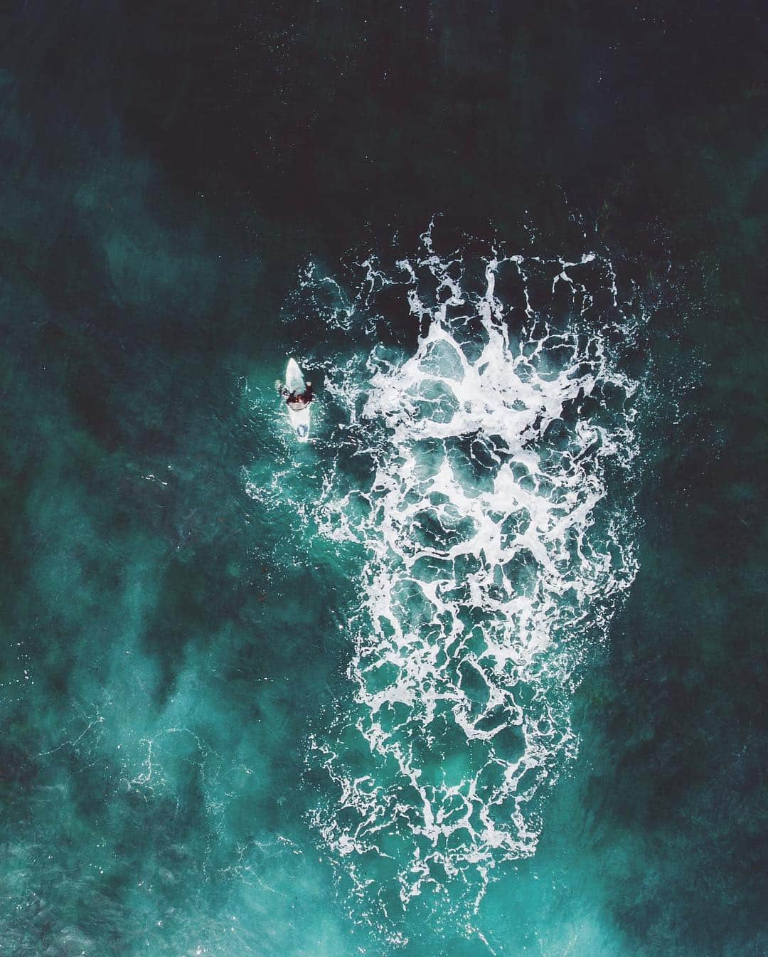 Kyle Kuiperさんのインスタグラム写真 - (Kyle KuiperInstagram)「The Paddle Out. 🏄🏻‍♂️」4月7日 2時08分 - kdkuiper