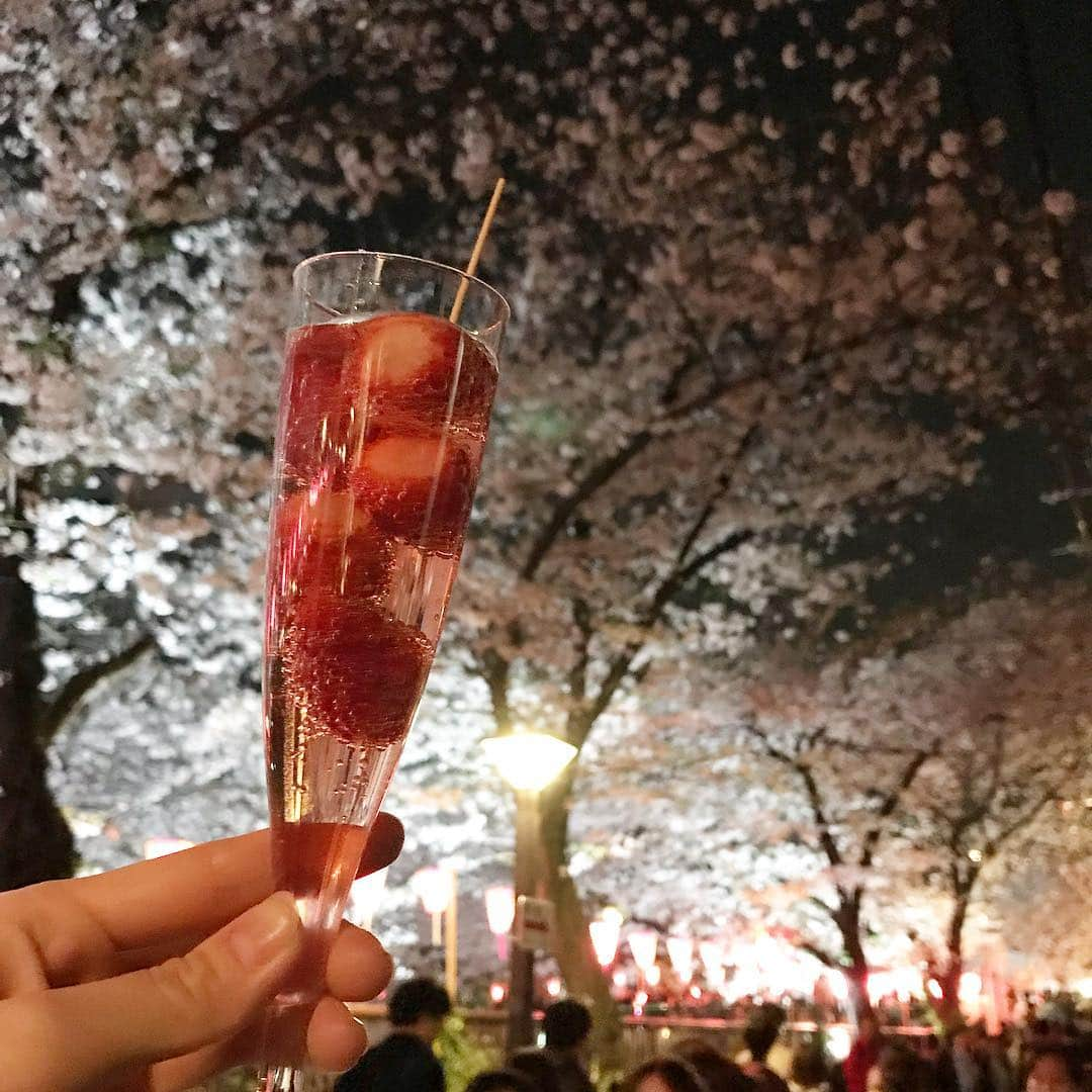 宮脇静香さんのインスタグラム写真 - (宮脇静香Instagram)「ちゃっかり行けた🌸 なんかいちごが入ったロゼをやたら売ってた🍓 あんま女子なもの好まないけど、流行り（ぽいもの）に乗っとこうと思って飲んだら思いのほか美味しかった👍  #お花見 #去年は職場の人無理矢理誘ってやったなあ #去年は目黒川沿いひとりで歩いたなあ #今はキャバプー検索に夢中」4月7日 2時24分 - shizukaaa8