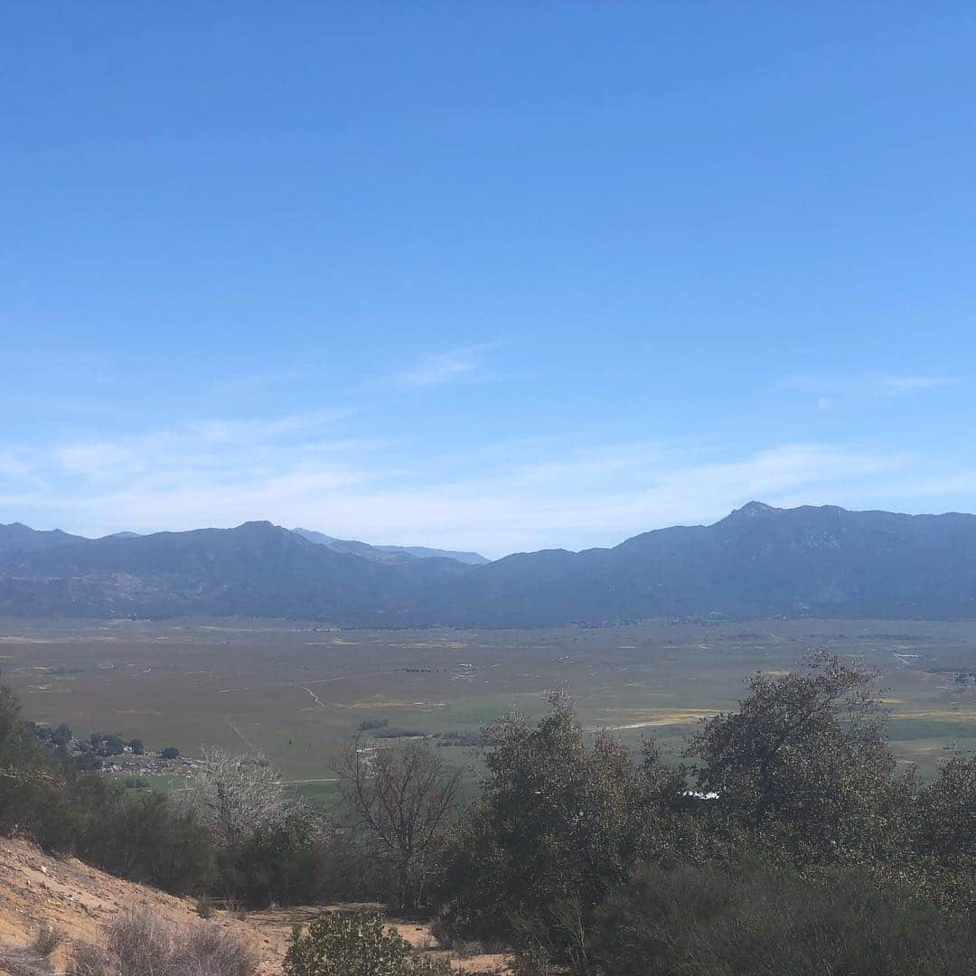 Rylaiさんのインスタグラム写真 - (RylaiInstagram)「What a stunning day at the center!!! #Superbloom is here!!! Walked thru the trails on the property with the boys... so much potential in this gorgeous property!! . Who wants to start building, gardening, grading, clearing, and creating?? #landscapers needed!!! . #santaysabel #socal #sandiego #jabcecc #hikewithafox #foxes #foxesofig #lovefoxes #trails #gardening #zeroscape #butterflygarden #fruit #veggies #ecofriendly #nonprofit #perfection #nature #foxencounters #animalencounters」4月7日 3時06分 - jabcecc