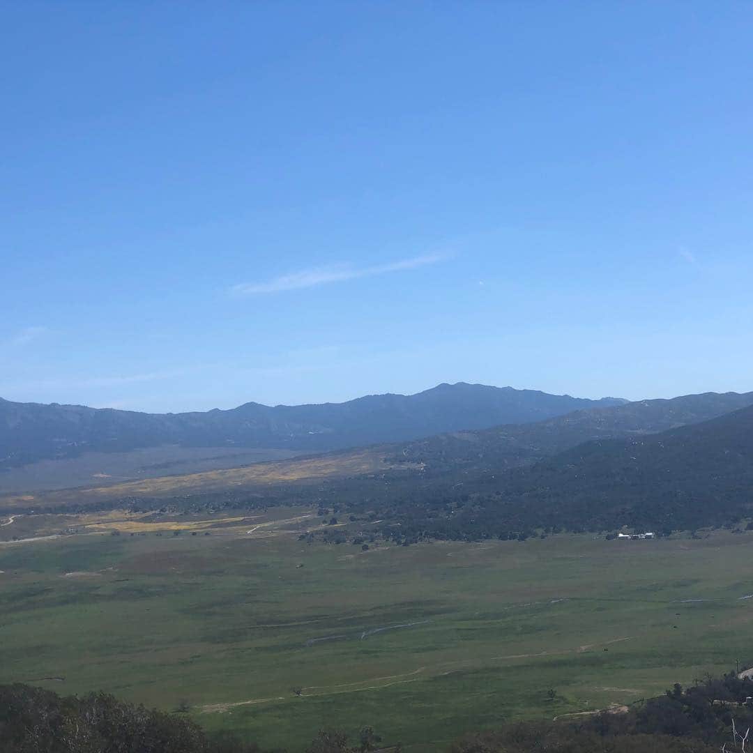 Rylaiさんのインスタグラム写真 - (RylaiInstagram)「What a stunning day at the center!!! #Superbloom is here!!! Walked thru the trails on the property with the boys... so much potential in this gorgeous property!! . Who wants to start building, gardening, grading, clearing, and creating?? #landscapers needed!!! . #santaysabel #socal #sandiego #jabcecc #hikewithafox #foxes #foxesofig #lovefoxes #trails #gardening #zeroscape #butterflygarden #fruit #veggies #ecofriendly #nonprofit #perfection #nature #foxencounters #animalencounters」4月7日 3時06分 - jabcecc