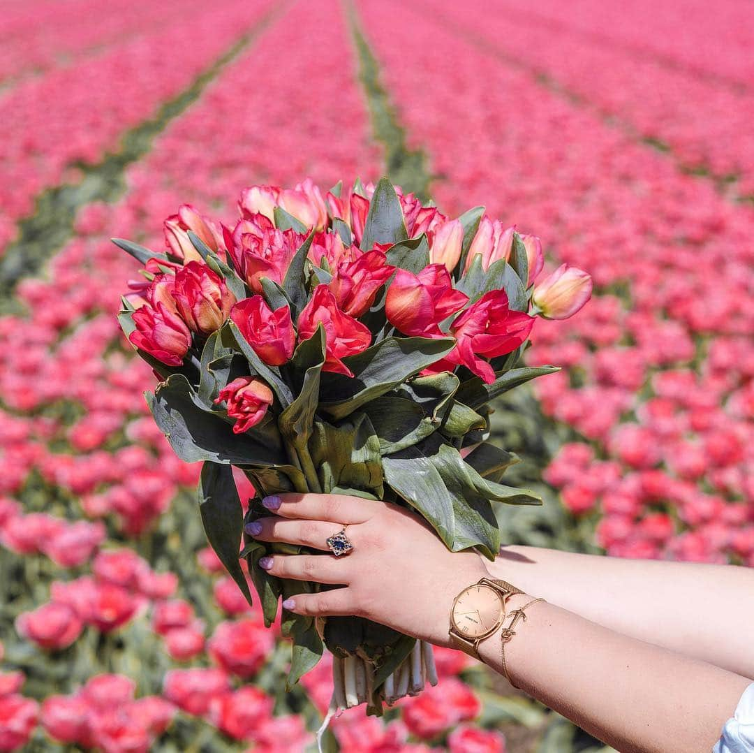 PAUL HEWITTさんのインスタグラム写真 - (PAUL HEWITTInstagram)「Live a life full of bloom. 💐⚓️(photo @nikitasibilev) #getAnchored #paulhewitt  __ #flowers #pink #instaflower #womenstyle #travel #style #details #happy #watchesofinstagram #womenswatch #happiness」4月7日 4時00分 - paul_hewitt