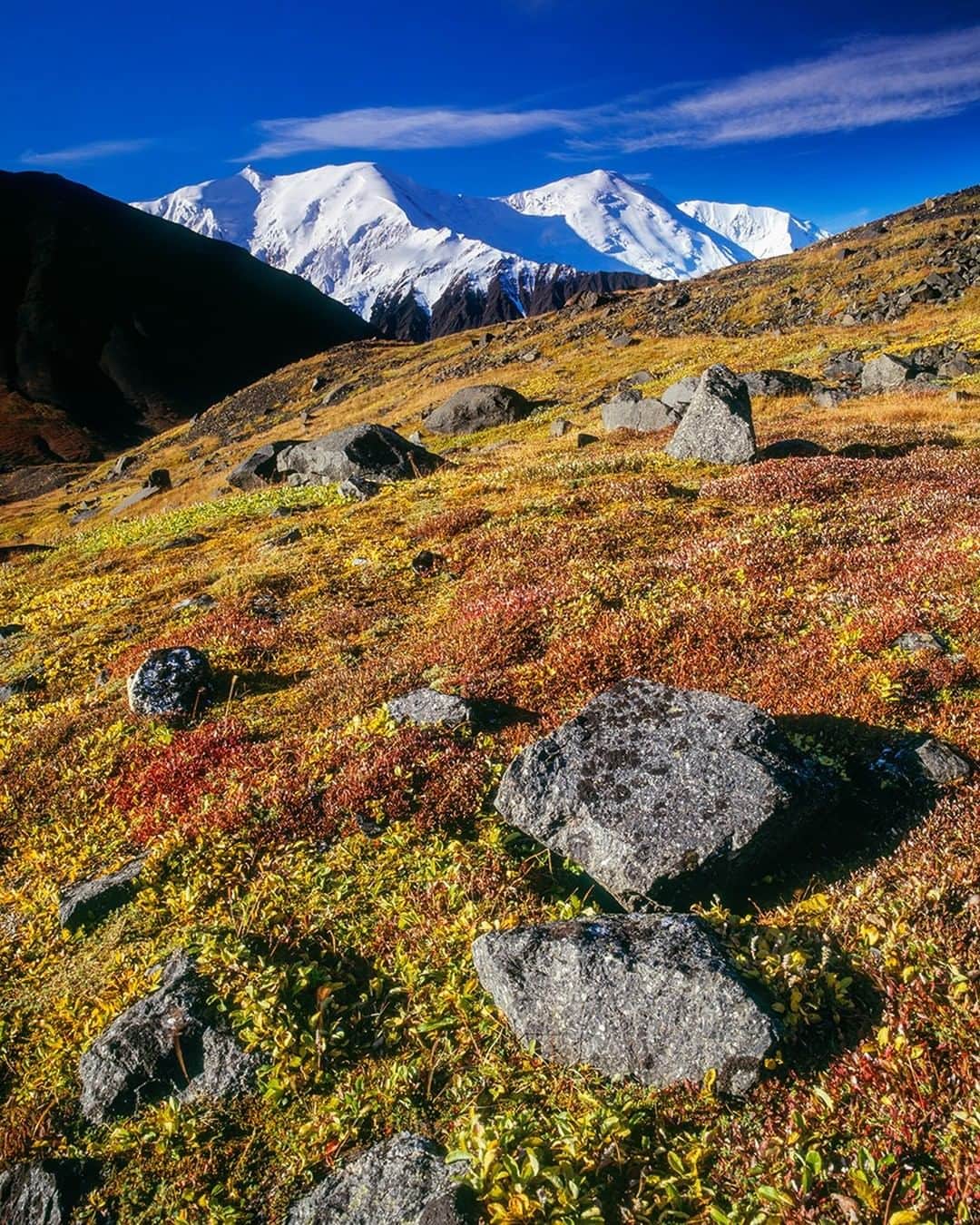 National Geographic Travelさんのインスタグラム写真 - (National Geographic TravelInstagram)「Photo @stephen_matera | The Alaska Range and tundra in the fall, Denali National Park, Alaska. Fall comes early in the arctic. Beginning in early September, the tundra and dwarf willow begin to change color, creating a mosaic of amazing color. Follow me @stephen_matera for more images like this from Alaska and around the world. #denali #nationalpark #autumn」4月7日 4時02分 - natgeotravel
