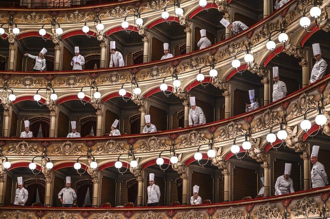 NBC Newsさんのインスタグラム写真 - (NBC NewsInstagram)「Swipe for the Week in Pictures ➡️ . Chefs look out from their seats during the "Cibo Nostrum 2019 Culinary Festival" at the Vincenzo Bellini theater in Catania, Italy, on April 1. 📷 @fabrizio.villa / @GettyImages . Stray dogs walk along a railway in the Siberian Taiga forest near Krasnoyarsk, Russia, on April 3. 📷 Ilya Naymushin / @Reuters . Ivanka Trump and her son Theodore walk from Air Force One at Joint Base Andrews in Maryland on March 31. 📷 @jprpix / @Reuters . People walk under cherry blossoms at the tidal basin in Washington on April 1. 📷 Mandel Ngan / @AFPphoto . See all 12 images in #TheWeekinPictures through the link in our bio.」4月7日 11時22分 - nbcnews