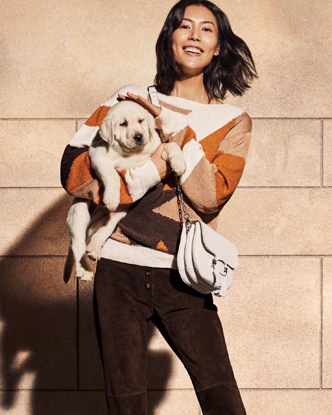 リウ・ウェンのインスタグラム：「Shared the set with a new model 🐶」