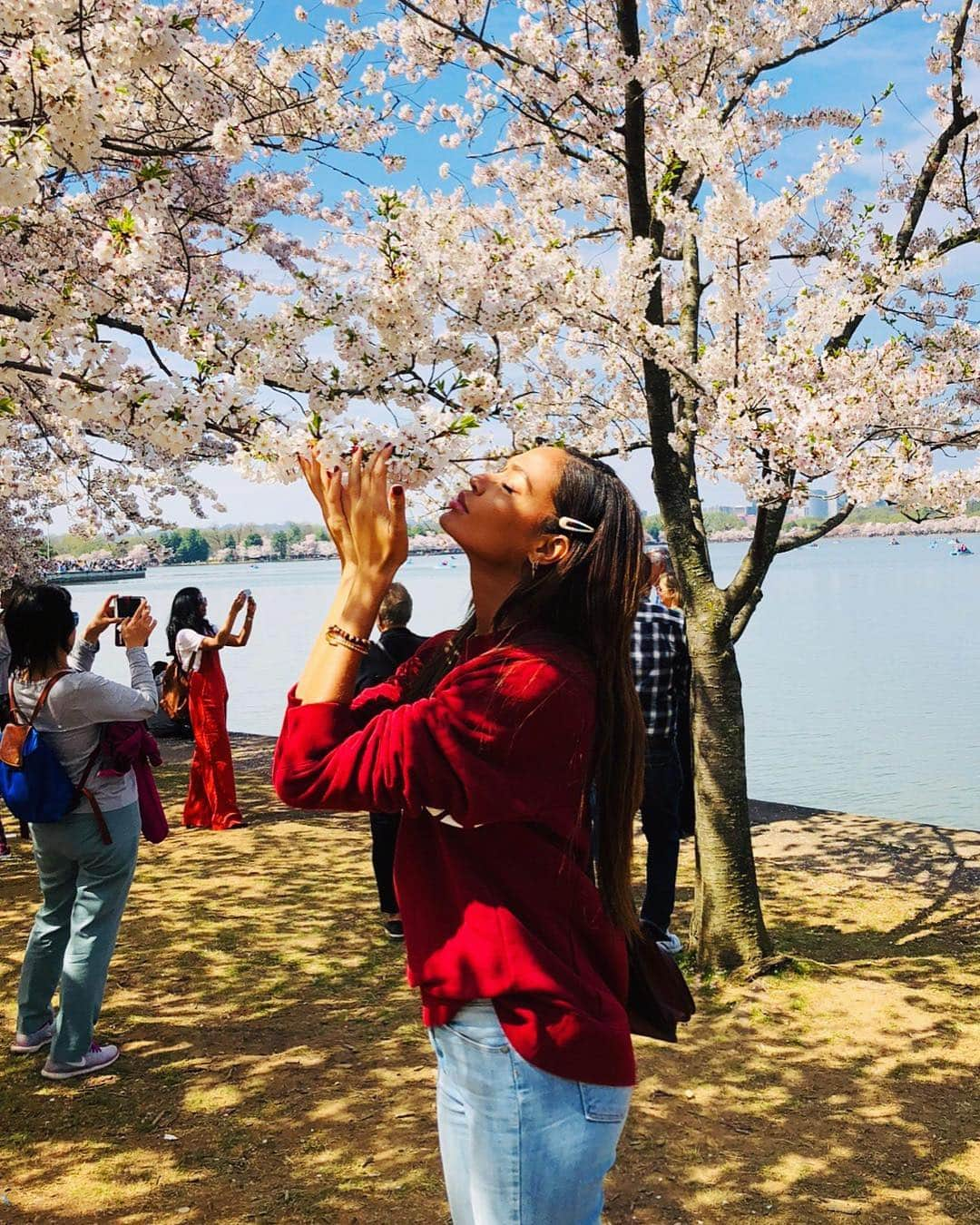 ジョアン・スモールズさんのインスタグラム写真 - (ジョアン・スモールズInstagram)「First time for everything... So magical these trees #cherryblossom 🌸 Fueron un regalo de Japón a los EU en el 1912」4月7日 6時05分 - joansmalls