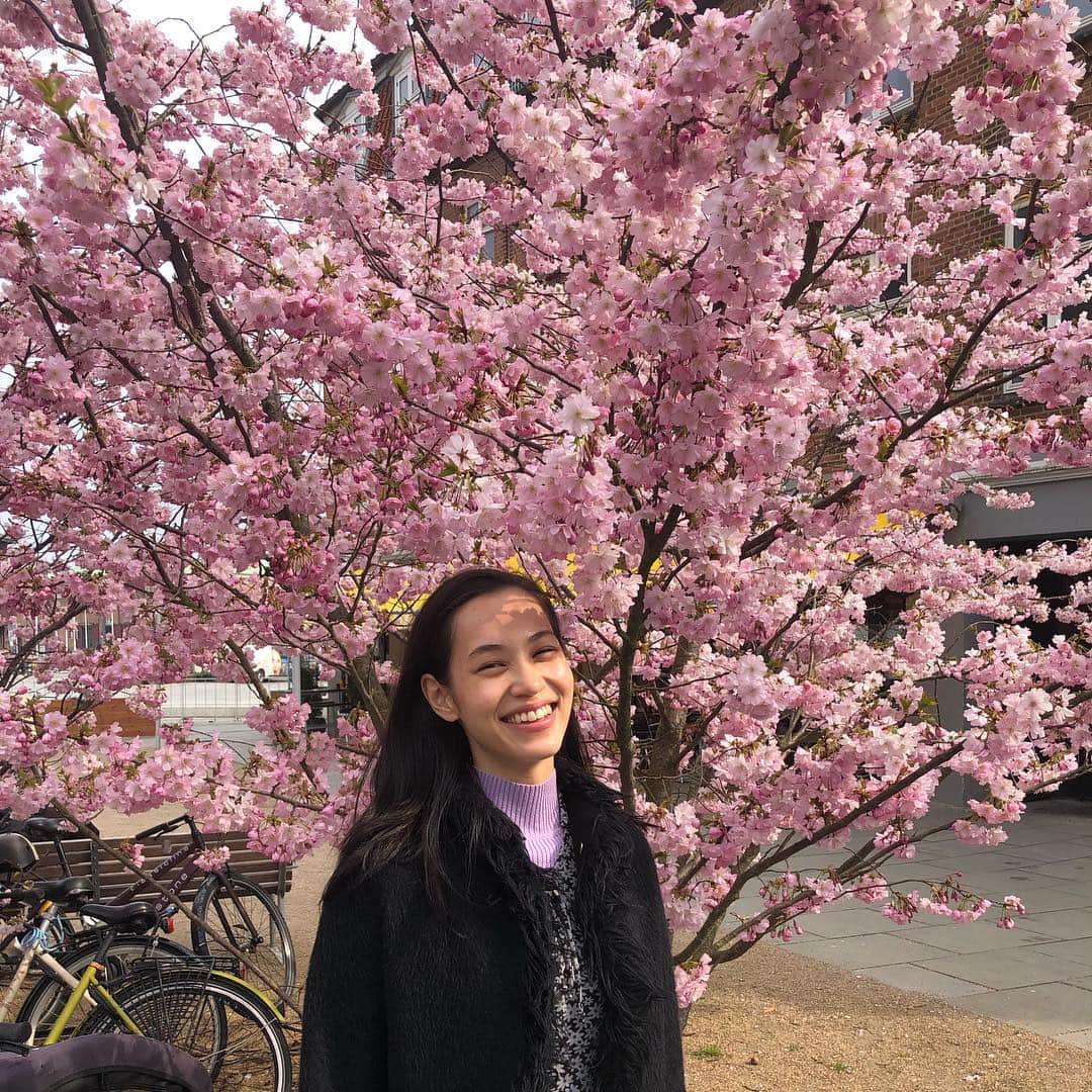 水原希子 さんのインスタグラム写真 - (水原希子 Instagram)「桜って世界中に咲いてるんだね🌸🌎✨」4月7日 6時07分 - i_am_kiko