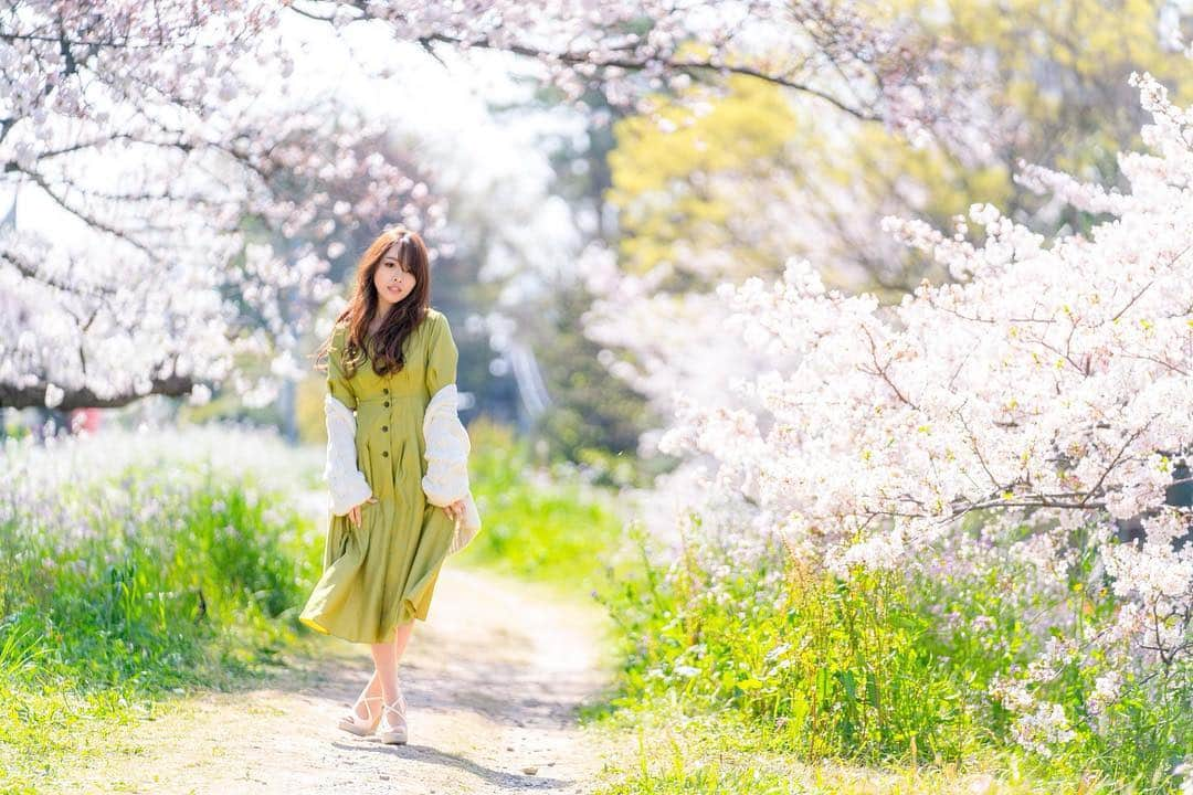 白石ゆうかさんのインスタグラム写真 - (白石ゆうかInstagram)「ワンピースは緑茶色🍵笑  #ポートレート #portrait #写真好きな人と繋がりたい #写真撮ってる人と繋がりたい #ファインダー越しの私の世界 #model #撮影 #pic #picture #picoftheday #ポートレートしま専科 #写真 #love #like #東京カメラ部 #ポートレート女子 #follow #followme #instagood #ig_japan #photoofthday #photography #japan #japanese #photo #sakura #🌸 #cherryblossom」4月7日 6時20分 - shiraishi_yuuka