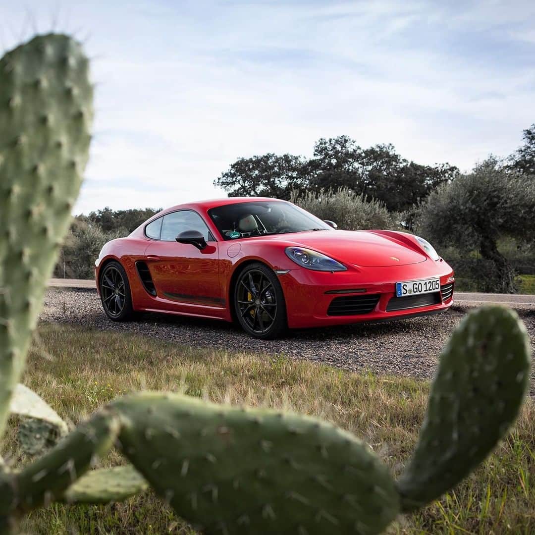 Porscheさんのインスタグラム写真 - (PorscheInstagram)「Forget the everyday routines. Be spontaneous and revel in adrenaline. The 718 Cayman T is a purist sports car that helps you switch off by shifting up. #Porsche #718CaymanT #gonedriving  __ Combined fuel consumption in accordance with EU 6: 718 Cayman T: 8.1-7,9 l/100 km; CO2 emissions: 186-180 g/km」4月7日 6時49分 - porsche
