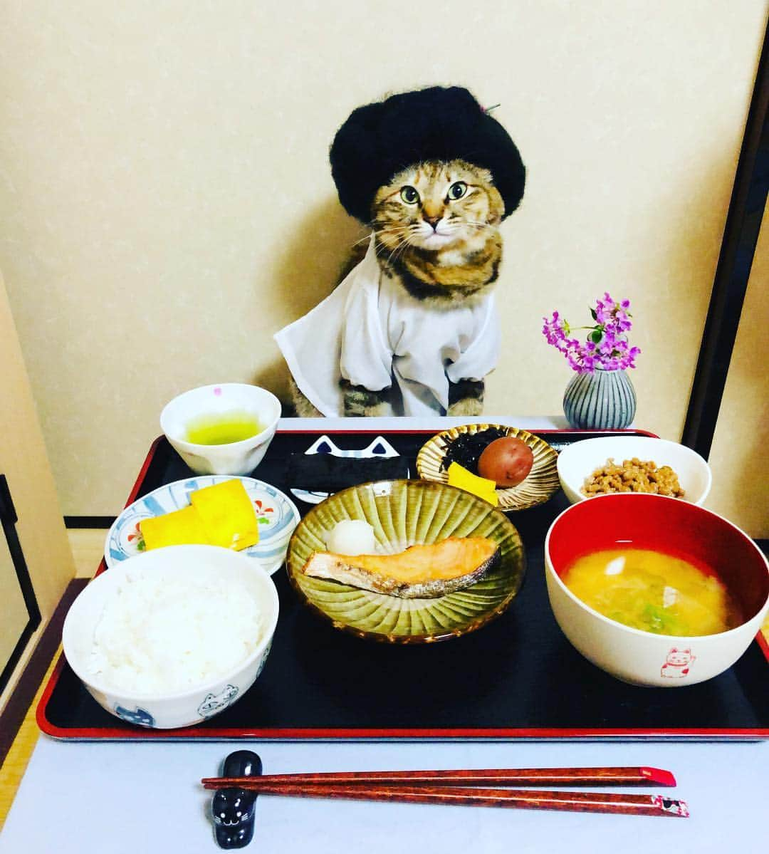 マロさんのインスタグラム写真 - (マロInstagram)「🍚typical japanese breakfast🥢 ・rice ・miso soup ・grilled salmon ・Japanese rolled omelette ・natto ・Umeboshi (Salt pickled plums) ・seaweed ・pickles ☆ いつもコメントありがとうございます😸🙏💕 返信出来なくてすみません🙇‍♀️ 全て拝見しています🐾 ☆ Thank you for your kind comments😸🙏💕 I'm sorry that I couldn't reply. ☆ #cat#cats#catsofinstagram#😻 #food#japanesefood#japanese #japaneseculture#chef#ねこ#猫 #ネコ#にゃんすたぐらむ#ねこ部 #みんねこ#ふわもこ部#朝食#板前 #和食#料理#朝食を食べよう  #猫との暮らし」4月7日 7時19分 - rinne172