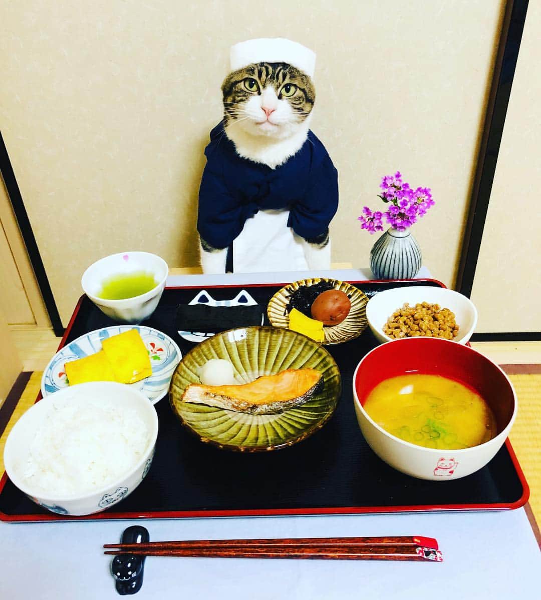 マロさんのインスタグラム写真 - (マロInstagram)「🍚typical japanese breakfast🥢 ・rice ・miso soup ・grilled salmon ・Japanese rolled omelette ・natto ・Umeboshi (Salt pickled plums) ・seaweed ・pickles ☆ いつもコメントありがとうございます😸🙏💕 返信出来なくてすみません🙇‍♀️ 全て拝見しています🐾 ☆ Thank you for your kind comments😸🙏💕 I'm sorry that I couldn't reply. ☆ #cat#cats#catsofinstagram#😻 #food#japanesefood#japanese #japaneseculture#chef#ねこ#猫 #ネコ#にゃんすたぐらむ#ねこ部 #みんねこ#ふわもこ部#朝食#板前 #和食#料理#朝食を食べよう  #猫との暮らし」4月7日 7時19分 - rinne172