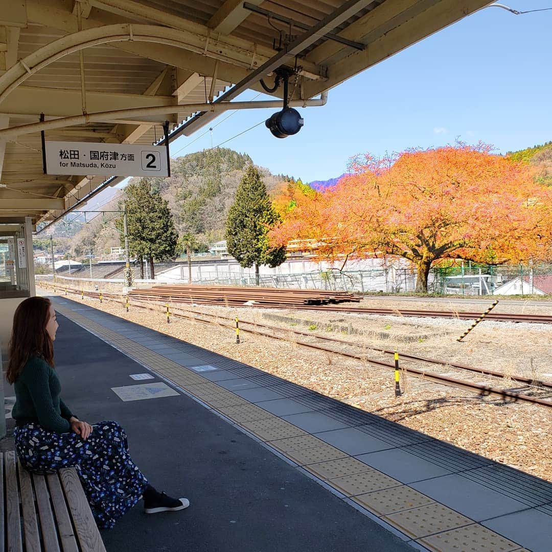 Hiromi Tomiiさんのインスタグラム写真 - (Hiromi TomiiInstagram)「4月1、2で#静岡県#小山町　へ . . #富士山頂と金太郎のまち . . . . 富士スピードウェイがあったり、金太郎の生誕の地だったり富士山頂がある町(^-^) . . 今回は車で来ました！ 東京駅からナビで1時間20分(^-^) 今回はみさ子と◎ . 富士霊園 →手作りハム のお店ando →飴屋→きくや→わさび漬丸中→目黒地蔵通り御門屋→道の駅ふじおやま→農家民宿このはな . 二日目 お写真は、 ひとやすみの庭→茅沼ベーカリー　→#金太郎桜 まだつぼみが多かったので少し修正してます。 私がいったときは二枚目の写真が修正なし。 駅のホームから大きな桜の木が見られ満開の桜が見られ、地元の人たちが金太郎桜と親しんでいるそうです(^-^) .  小山町の宏美の投稿は　→#宏美in小山町　で、 過去の投稿も見れます＼(^-^)／是非参考に💕 . . #小山に行きたい#小山町旅行#MtFuji#fujiyama#oyama#oyamajapan#shizuoka#trip#oyamatrip #女子旅#コーデ#きょコ #fashion #fashiongram  #currentlywearing #outfitpost #fashionpost#旅行コーデ#旅行好きな人と繋がりたい #写真好きな人と繋がりたい  #pr#トップス：#jferry_ins @jferry.jp (A31-118-10011)」4月7日 7時54分 - hiromi.tomii