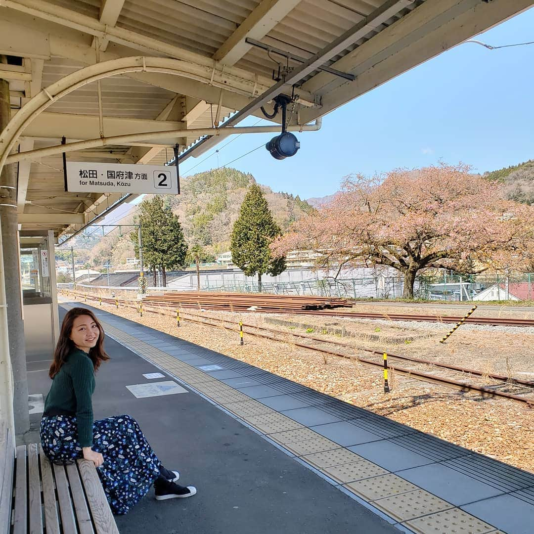 Hiromi Tomiiさんのインスタグラム写真 - (Hiromi TomiiInstagram)「4月1、2で#静岡県#小山町　へ . . #富士山頂と金太郎のまち . . . . 富士スピードウェイがあったり、金太郎の生誕の地だったり富士山頂がある町(^-^) . . 今回は車で来ました！ 東京駅からナビで1時間20分(^-^) 今回はみさ子と◎ . 富士霊園 →手作りハム のお店ando →飴屋→きくや→わさび漬丸中→目黒地蔵通り御門屋→道の駅ふじおやま→農家民宿このはな . 二日目 お写真は、 ひとやすみの庭→茅沼ベーカリー　→#金太郎桜 まだつぼみが多かったので少し修正してます。 私がいったときは二枚目の写真が修正なし。 駅のホームから大きな桜の木が見られ満開の桜が見られ、地元の人たちが金太郎桜と親しんでいるそうです(^-^) .  小山町の宏美の投稿は　→#宏美in小山町　で、 過去の投稿も見れます＼(^-^)／是非参考に💕 . . #小山に行きたい#小山町旅行#MtFuji#fujiyama#oyama#oyamajapan#shizuoka#trip#oyamatrip #女子旅#コーデ#きょコ #fashion #fashiongram  #currentlywearing #outfitpost #fashionpost#旅行コーデ#旅行好きな人と繋がりたい #写真好きな人と繋がりたい  #pr#トップス：#jferry_ins @jferry.jp (A31-118-10011)」4月7日 7時54分 - hiromi.tomii