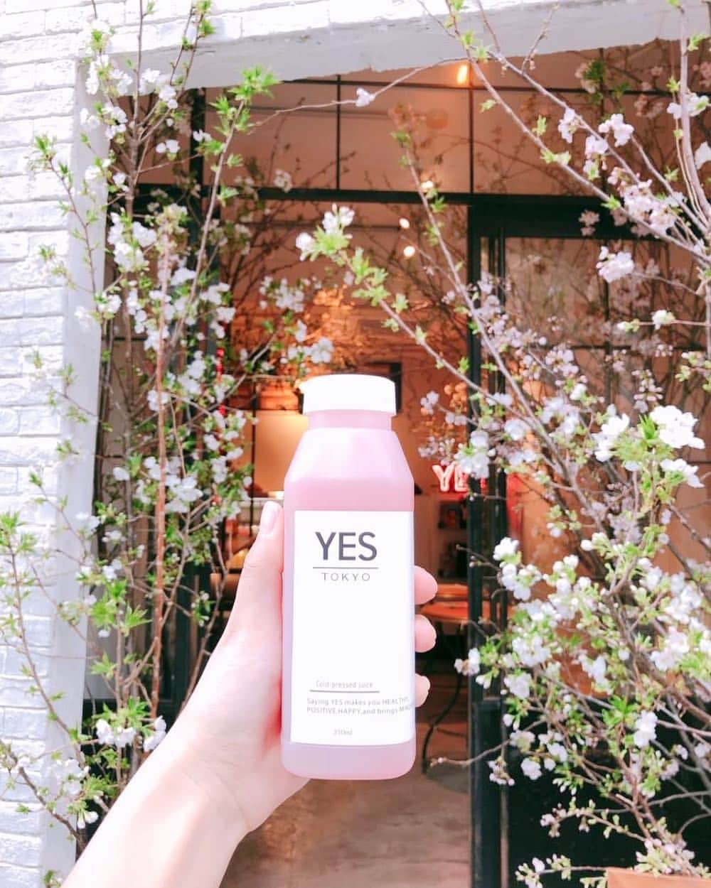 YES TOKYOのグルメインスタ