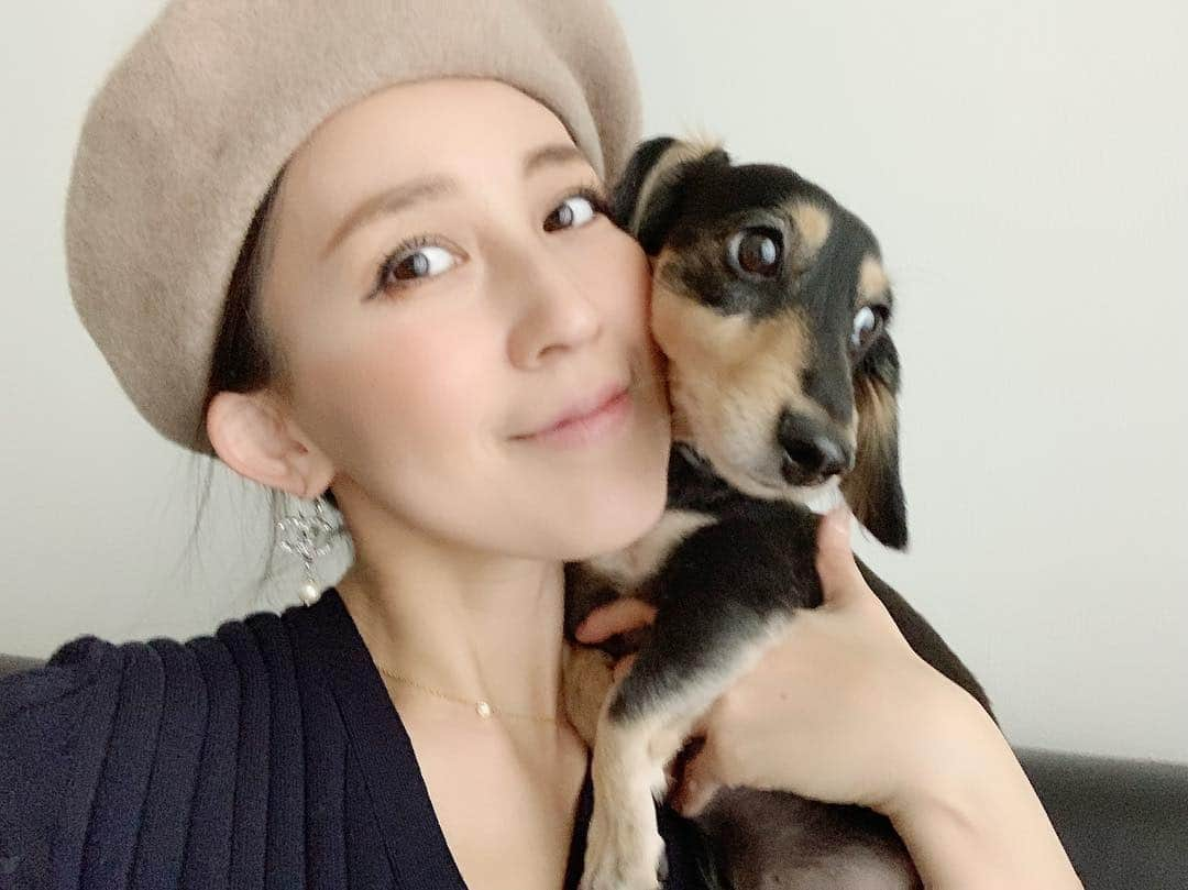 来栖あつこさんのインスタグラム写真 - (来栖あつこInstagram)「おはワンニャン🐶😽﻿ ﻿ ﻿ 昨日ゆるっと休むつもりが働いてしまったから、今日こそムーネネと一緒に完全休養と決めている。つもり。﻿ ﻿ つもり。﻿ ﻿ フリーになったら、想像以上にフリーではない現実（笑）﻿ いつやるか？どれくらいやるか？は自分次第だって思うと「先にやっちゃうか」「もうちょい頑張るか」ってドンドン仕事入れちゃうアカンパターン。﻿ ﻿ ﻿ まだまだ“猫のような生活”へは程遠い（笑）﻿ ﻿﻿ ﻿ #来栖あつこ ﻿﻿ #犬猫共存 #犬猫共同生活 #ムーちゃん #ムシャ ﻿﻿ #dog  #ダックスフント #ダックスフンド #dackshund ﻿﻿ #犬 #狗 #개 #Hund #cane #chien ﻿﻿ #miniaturedachshund ﻿﻿ #ミニチュアダックスフンド ﻿﻿ #ミニチュアダックスフント ﻿﻿ #instapets #dogstagram ﻿﻿ #atsukokurusu #ムーと私 #ムーあつこ」4月7日 8時08分 - atsukokurusu