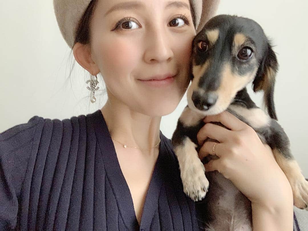 来栖あつこさんのインスタグラム写真 - (来栖あつこInstagram)「おはワンニャン🐶😽﻿ ﻿ ﻿ 昨日ゆるっと休むつもりが働いてしまったから、今日こそムーネネと一緒に完全休養と決めている。つもり。﻿ ﻿ つもり。﻿ ﻿ フリーになったら、想像以上にフリーではない現実（笑）﻿ いつやるか？どれくらいやるか？は自分次第だって思うと「先にやっちゃうか」「もうちょい頑張るか」ってドンドン仕事入れちゃうアカンパターン。﻿ ﻿ ﻿ まだまだ“猫のような生活”へは程遠い（笑）﻿ ﻿﻿ ﻿ #来栖あつこ ﻿﻿ #犬猫共存 #犬猫共同生活 #ムーちゃん #ムシャ ﻿﻿ #dog  #ダックスフント #ダックスフンド #dackshund ﻿﻿ #犬 #狗 #개 #Hund #cane #chien ﻿﻿ #miniaturedachshund ﻿﻿ #ミニチュアダックスフンド ﻿﻿ #ミニチュアダックスフント ﻿﻿ #instapets #dogstagram ﻿﻿ #atsukokurusu #ムーと私 #ムーあつこ」4月7日 8時08分 - atsukokurusu