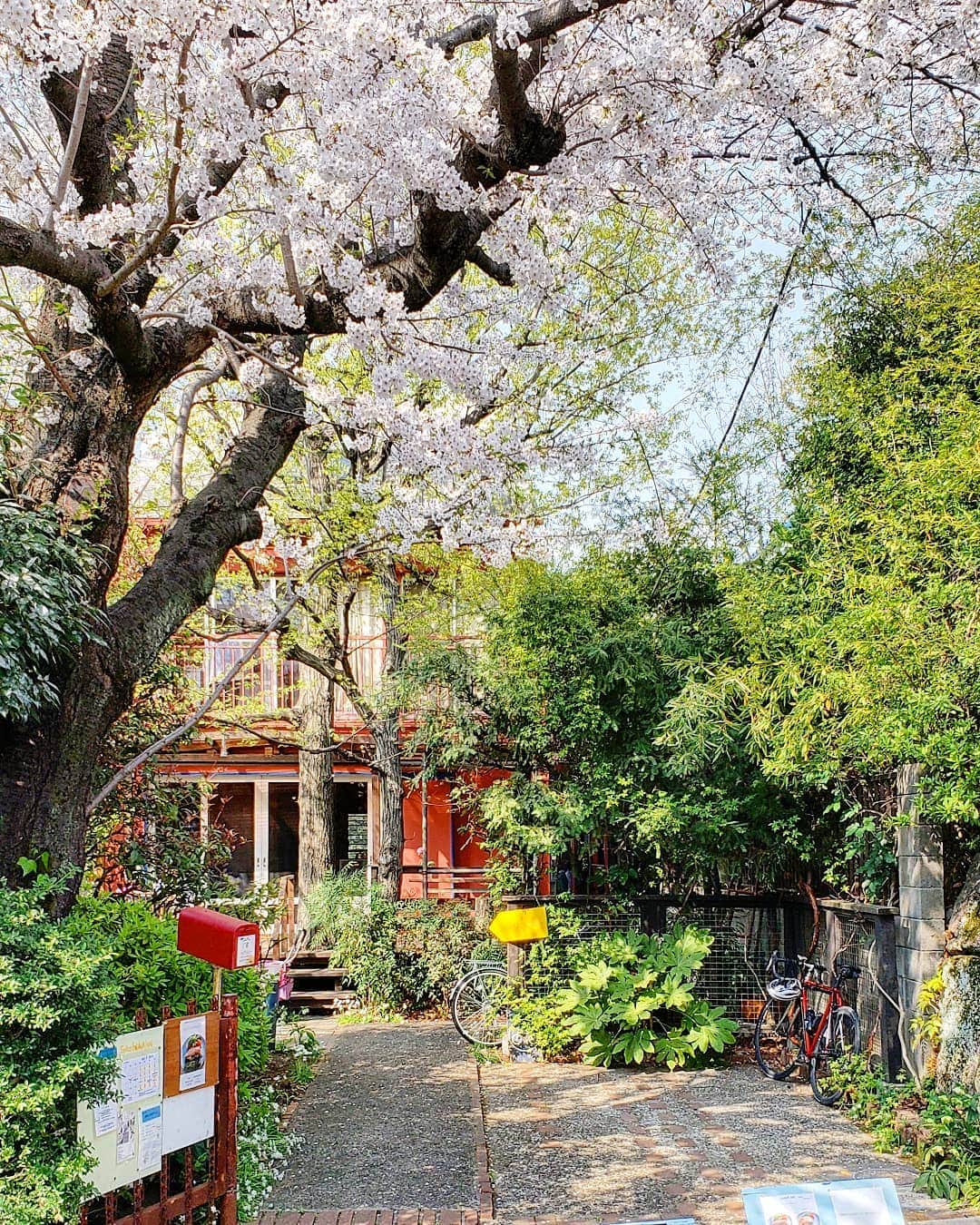 CAFE-STAGRAMMERのグルメインスタ