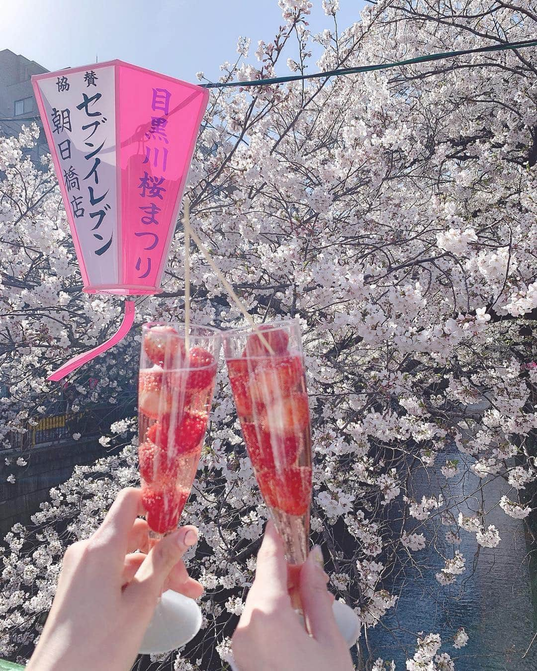 ののこさんのインスタグラム写真 - (ののこInstagram)「おはなみ~~🌸🍓♡」4月7日 8時24分 - nontaso2525