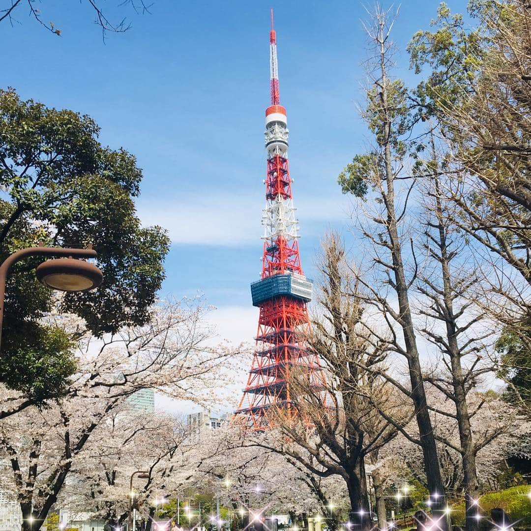 菜那くららさんのインスタグラム写真 - (菜那くららInstagram)「＊﻿ 春爛漫🌸﻿ ﻿ 桜にチューリップ🌷色鮮やかな花々✨﻿ ﻿ 街の色んな所で桜を見かけ、春を感じ﻿ ﻿ あぁ〜綺麗だな…✨﻿ ﻿ 見る度に心が癒されます☺️✨💓﻿ 今日も素敵な1日を…🍀 ﻿ #春 #桜 #チューリップ #お花見 #春爛漫 #花﻿ #枝垂れ桜 #東京タワー﻿ ﻿」4月7日 8時47分 - nana_kurara