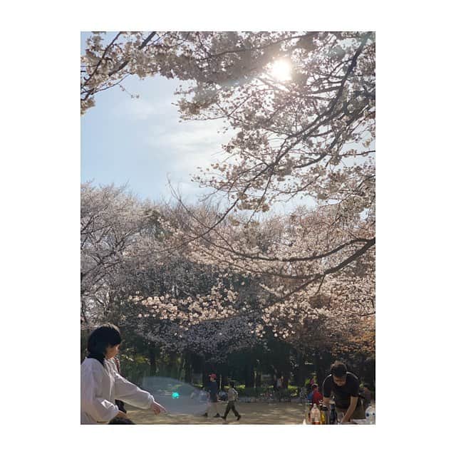 前田ゆかさんのインスタグラム写真 - (前田ゆかInstagram)「いろんな手料理がおいしくて😋  久しぶりに会えて嬉しすぎた bon花見＠世田谷公園  今年も 満開のサクラがふんわりと美しく しばし陶然！  良い お花見日和でした🌸 #突風に負けず  #たのしんで #ミニsl乗車  娘 #貸切状態で嬉しそうだった」4月7日 8時46分 - maeyuka