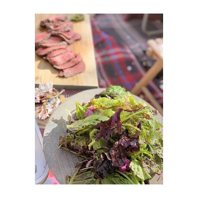 前田ゆかのインスタグラム：「いろんな手料理がおいしくて😋  久しぶりに会えて嬉しすぎた bon花見＠世田谷公園  今年も 満開のサクラがふんわりと美しく しばし陶然！  良い お花見日和でした🌸 #突風に負けず  #たのしんで #ミニsl乗車  娘 #貸切状態で嬉しそうだった」