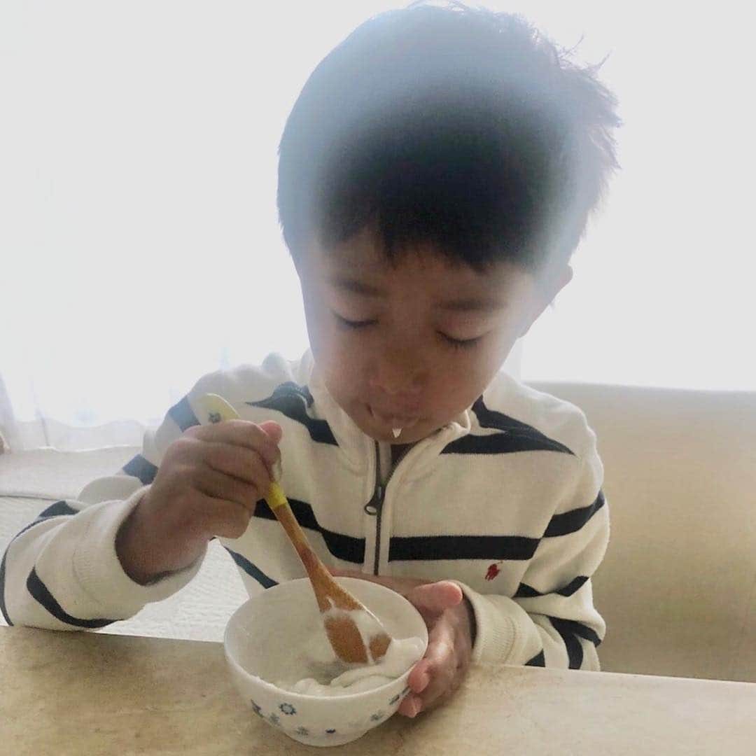 市川海老蔵 （11代目）さんのインスタグラム写真 - (市川海老蔵 （11代目）Instagram)「* パパのヨーグルト食べるために 素早く着替えたそうですよ笑笑、 パパの作るココナッツヨーグルト🥥は 最高に美味しいそうです笑 嬉しい。 朝から乳酸菌。 腸にいいね、 食べ過ぎには注意、少し糖分ありっす。 でもココナッツヨーグルト🥥オススメです。  #市川海老蔵 #海老蔵 #成田屋 #歌舞伎  #ABKAI #ABMORI #ebizoichikawa #ebizo #kabuki #thunderparty  #classic」4月7日 9時19分 - ebizoichikawa.ebizoichikawa