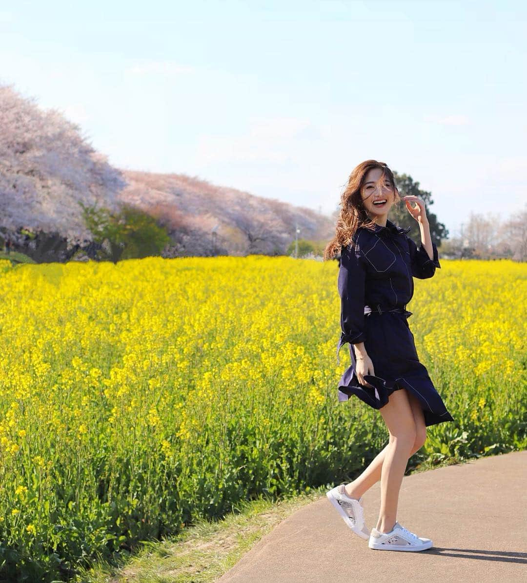 雨宮みずきさんのインスタグラム写真 - (雨宮みずきInstagram)「． 権現堂の桜と菜の花のコラボ🌸🌼 ． 今年もすっごく綺麗だった😢💕 ただ強風すぎて😂🤣笑 ． #権現堂桜堤 #権現堂 #権現堂公園 #桜 #桜祭り #お花見 #桜まつり #菜の花 #桜巡り #桜満開 #桜 #桜祭り#お花見日和 #お花見2019 #cherryblossom #flower_daily #日本の四季 #flower_perfection #runningwomen #桜の名所 #新元号 #令和 #平成最後の桜 #桜満開」4月7日 20時29分 - ammymzk0926