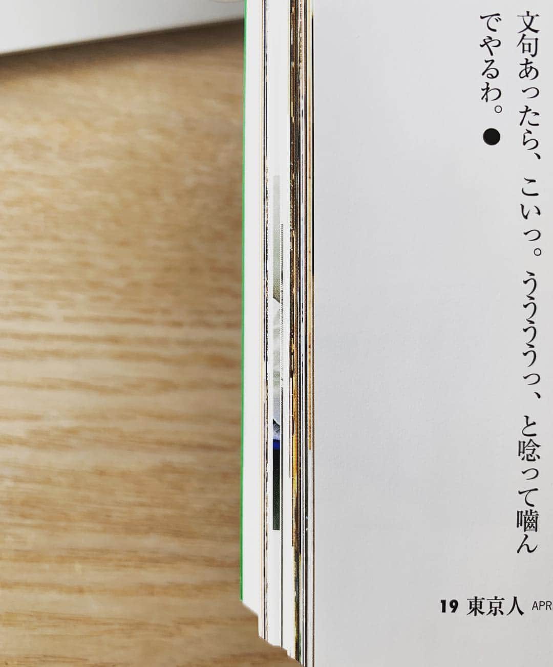 小谷実由さんのインスタグラム写真 - (小谷実由Instagram)「東京人 4月号「江戸東京 犬猫狂騒曲」町田康さんの文章に顔のほころびが止まらない。わかるわかると頷きまくってて、最後の一文が好き過ぎてやられた〜🐈🐈🐈」4月7日 20時29分 - omiyuno